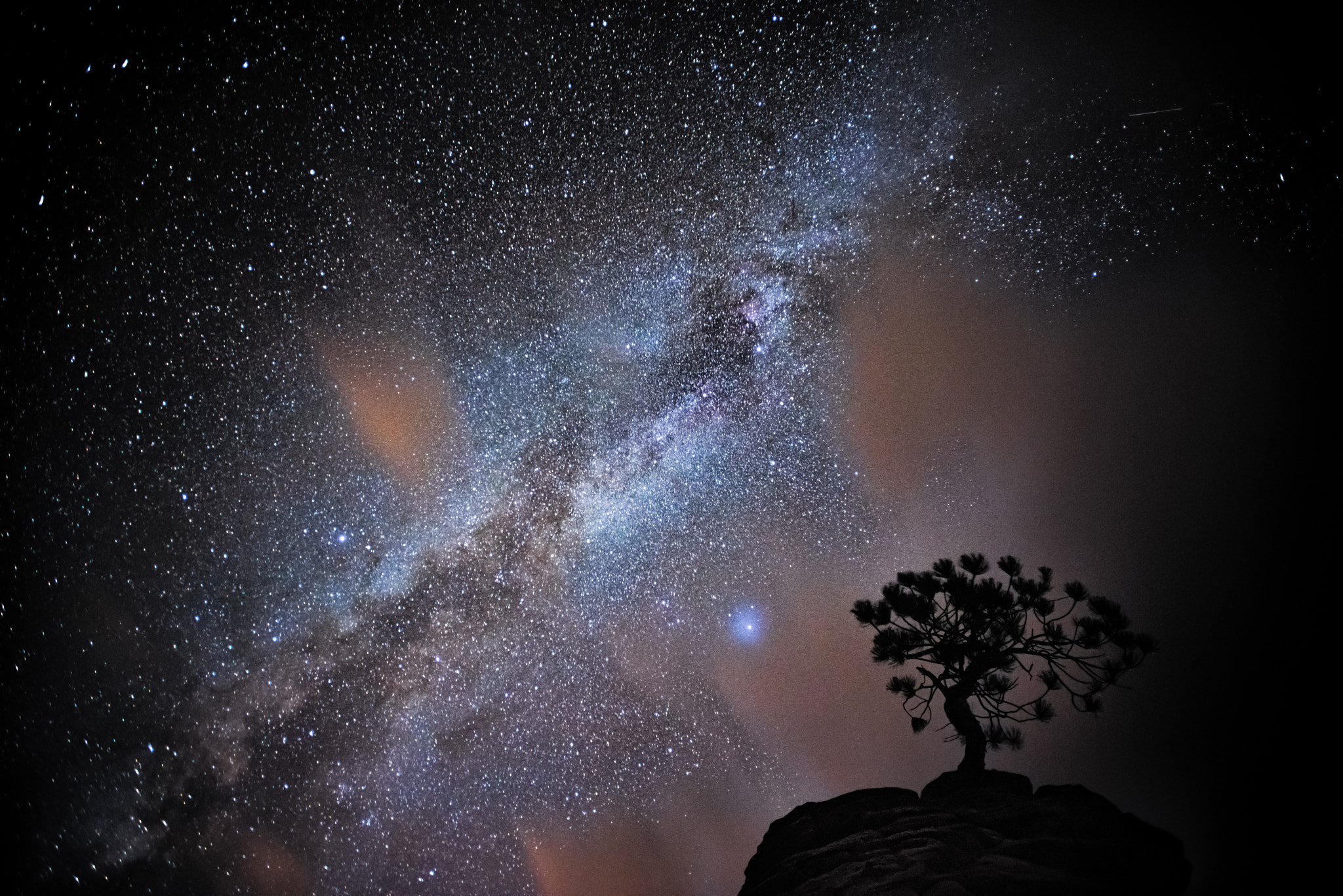 Nikon AF-S Nikkor 17-35mm F2.8D ED-IF sample photo. Stars and tree photography