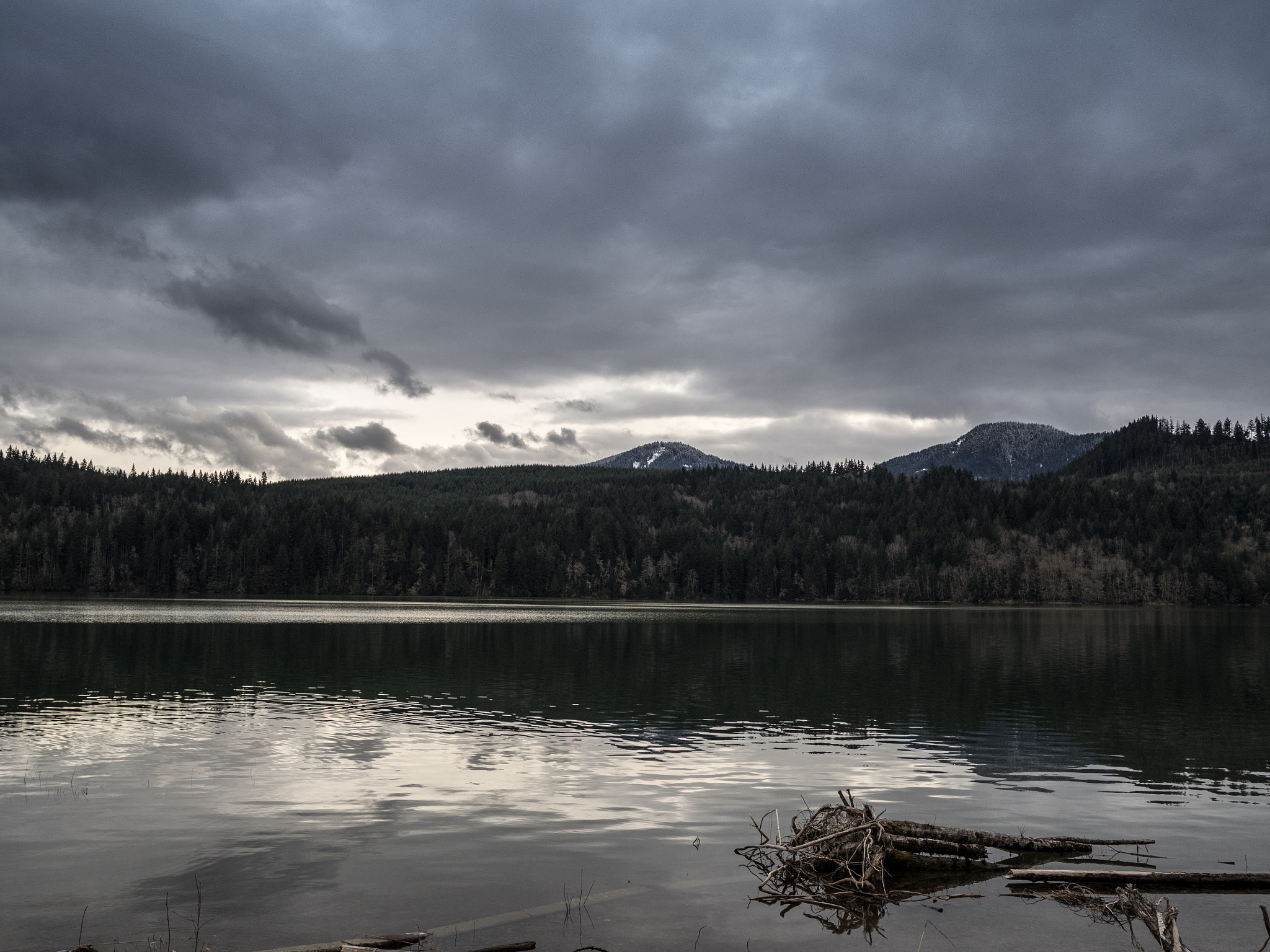 Olympus OM-D E-M5 II + LEICA DG SUMMILUX 15/F1.7 sample photo. A quick stop on my way to mt. rainier. photography