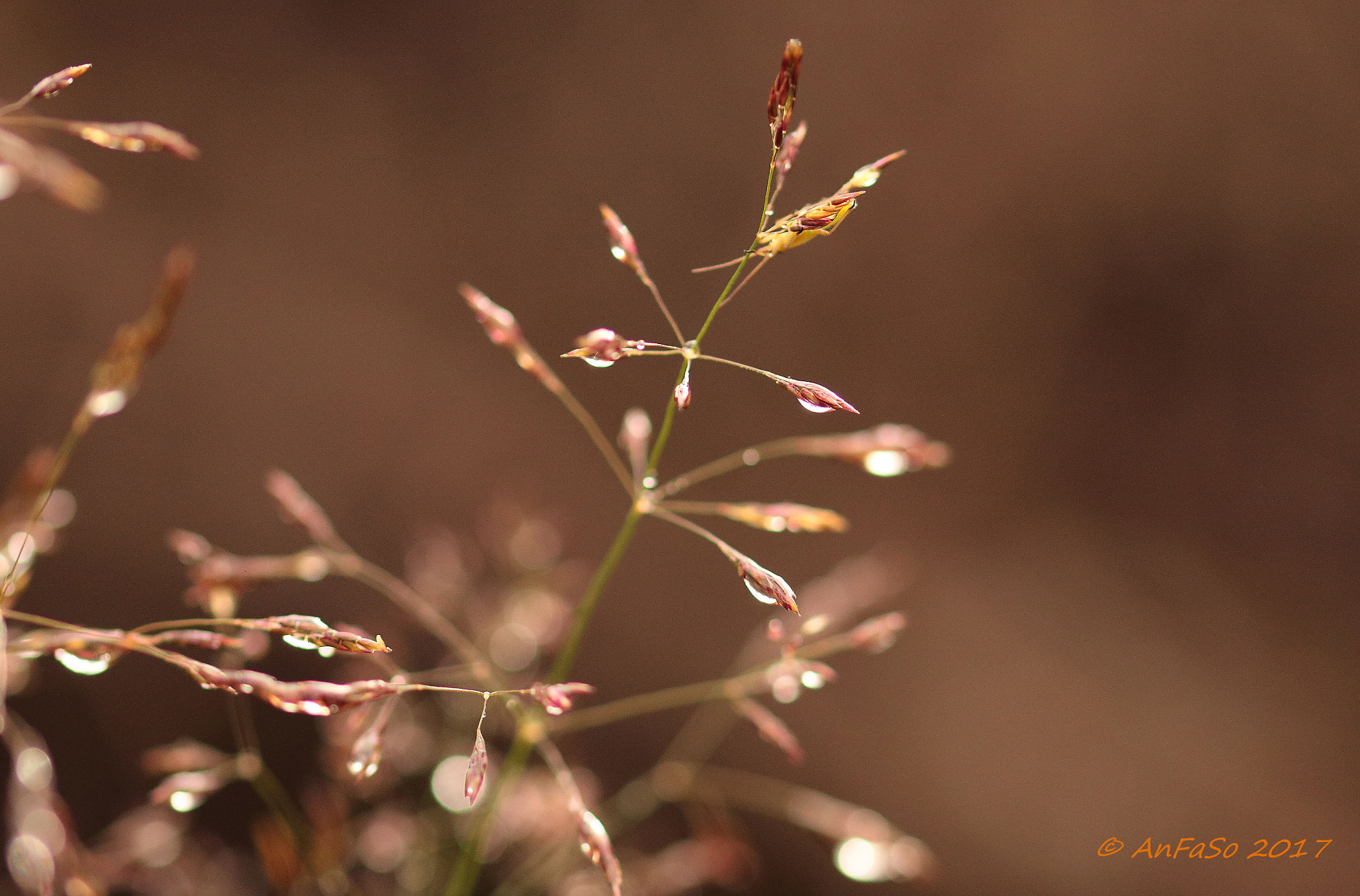 Sigma 105mm F2.8 EX DG OS HSM sample photo. Colors photography