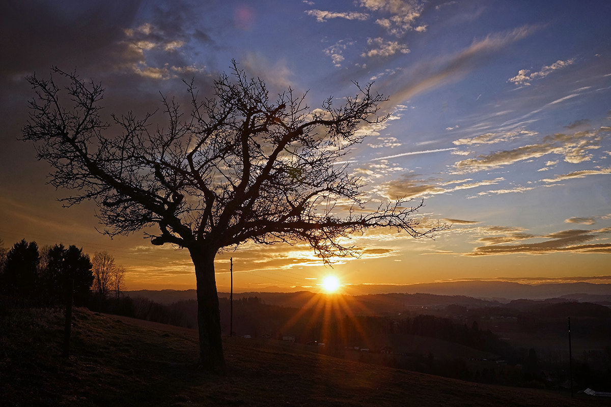 Sony a99 II sample photo. The end of today photography