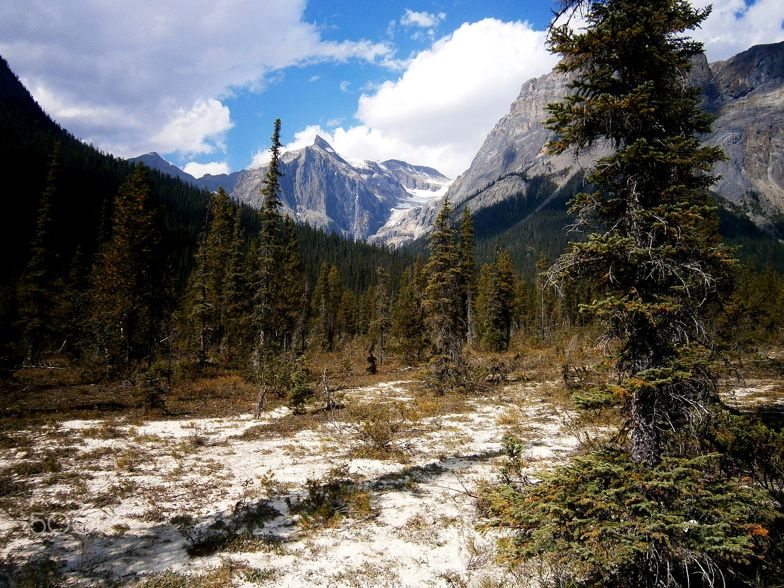 Olympus VG120,D705 sample photo. In the rockies photography
