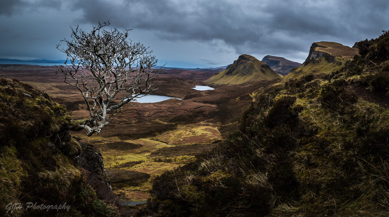 Canon EOS 70D + Canon EF-S 18-55mm F3.5-5.6 III sample photo. Classic quiraing tree shot photography