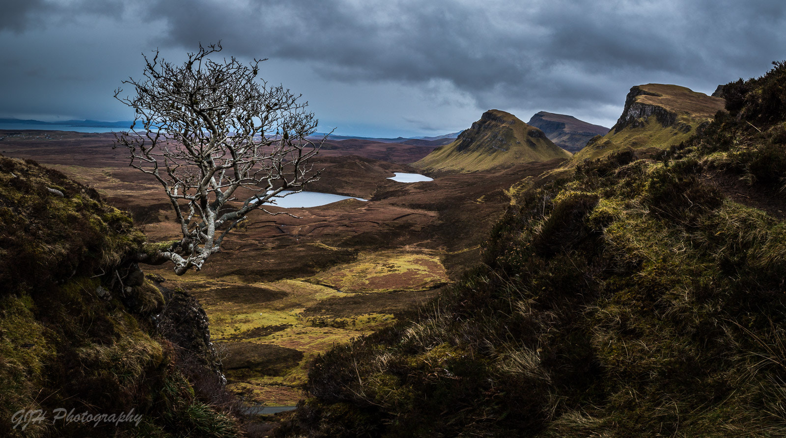 Canon EF-S 18-55mm F3.5-5.6 III sample photo. Classic quiraing tree shot photography