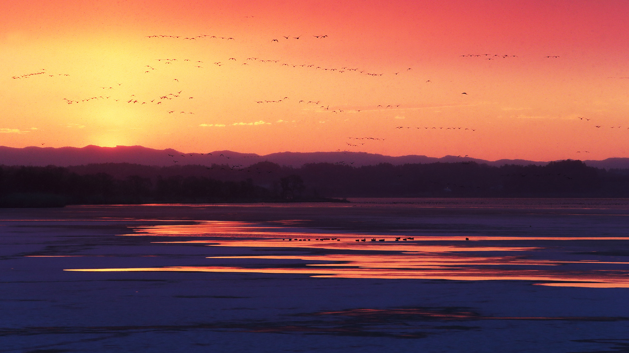 Canon EF 70-200mm F2.8L USM sample photo. To the morning glow color world photography