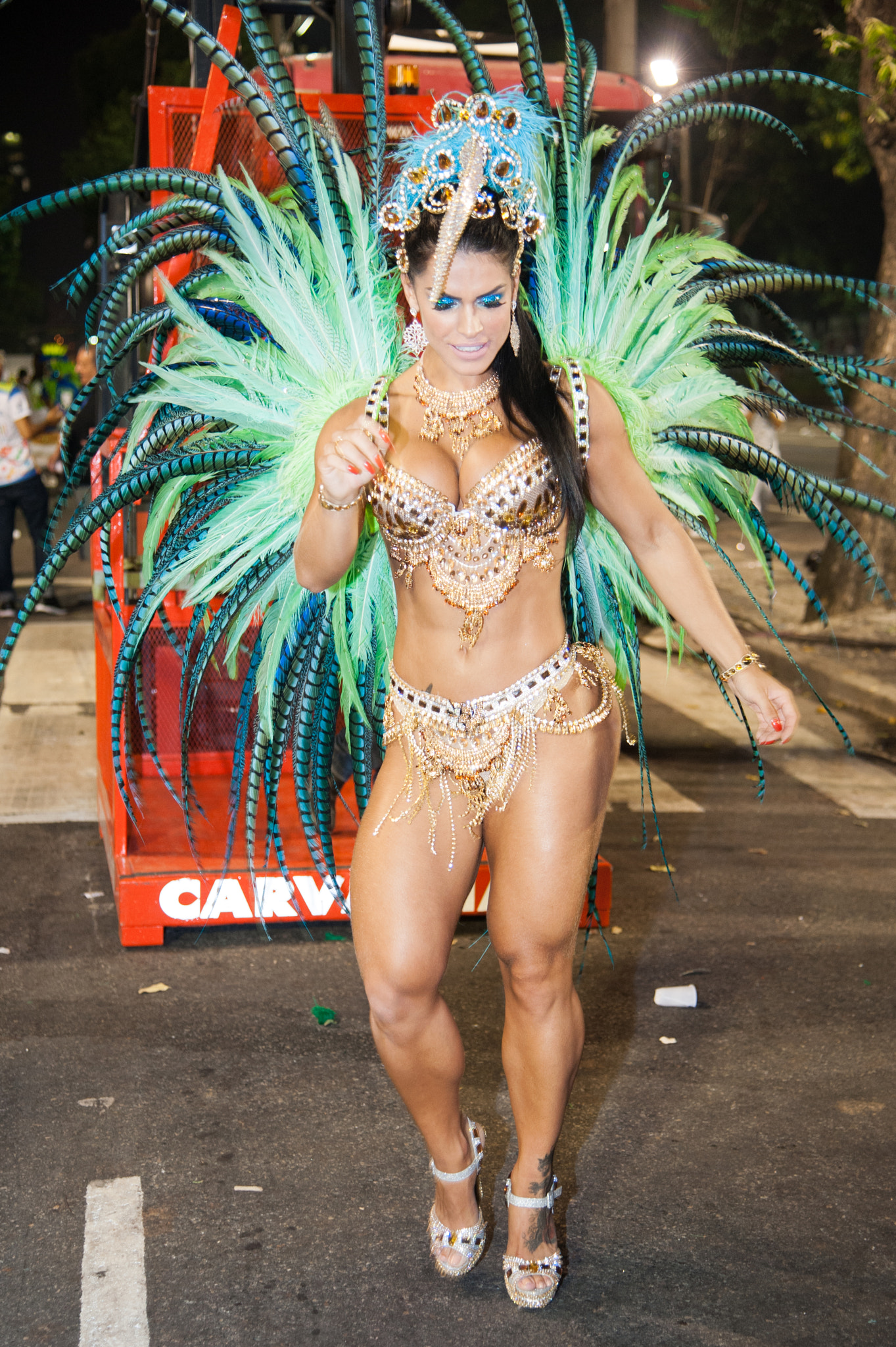 Nikon AF-S Nikkor 24-120mm F4G ED VR sample photo. Carnaval no rio de janeiro 2017 photography