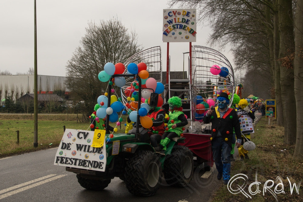 Sony SLT-A58 + Sigma 17-70mm F2.8-4.5 (D) sample photo. Cv de wilde feestbende photography