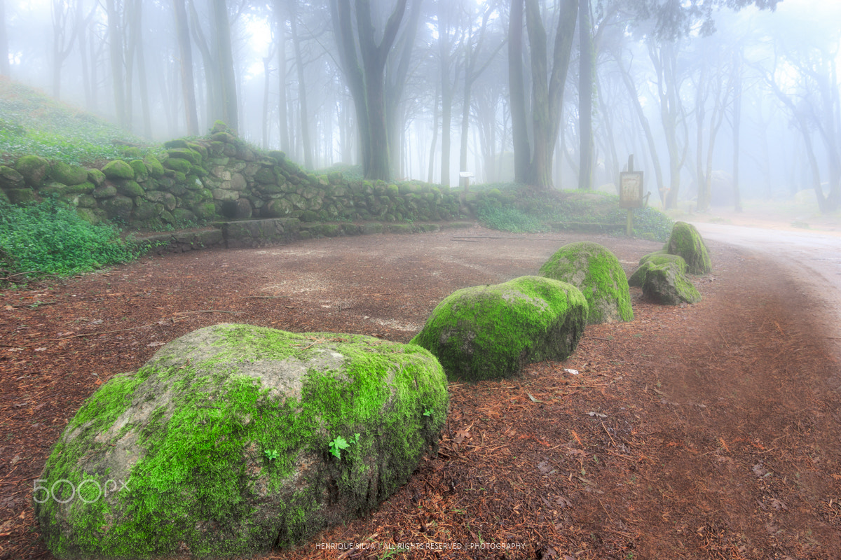 Tokina AT-X Pro 12-24mm F4 (IF) DX sample photo. Lonely planet photography
