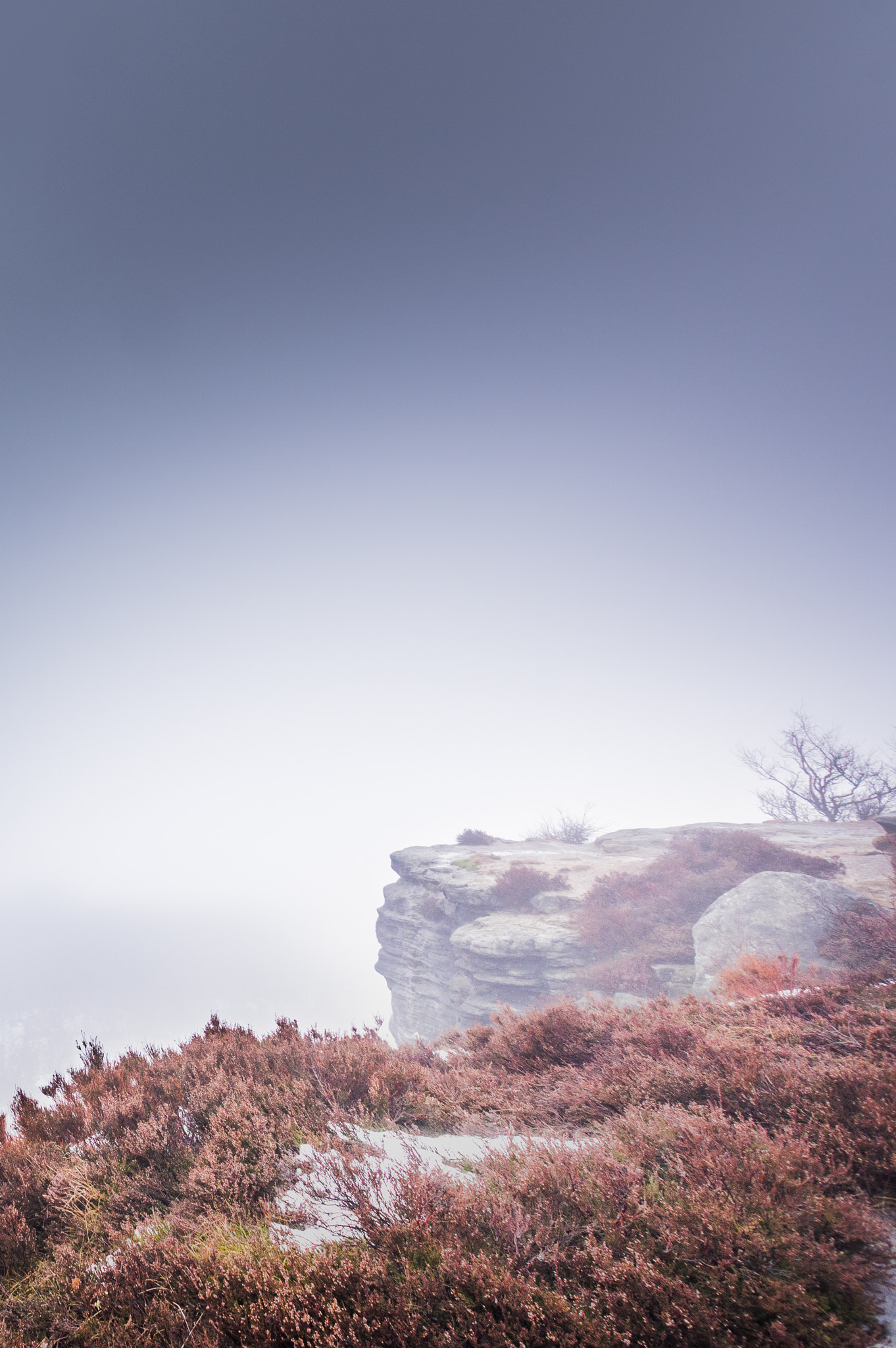 Sigma 10-20mm F3.5 EX DC HSM sample photo. Foggy rock photography