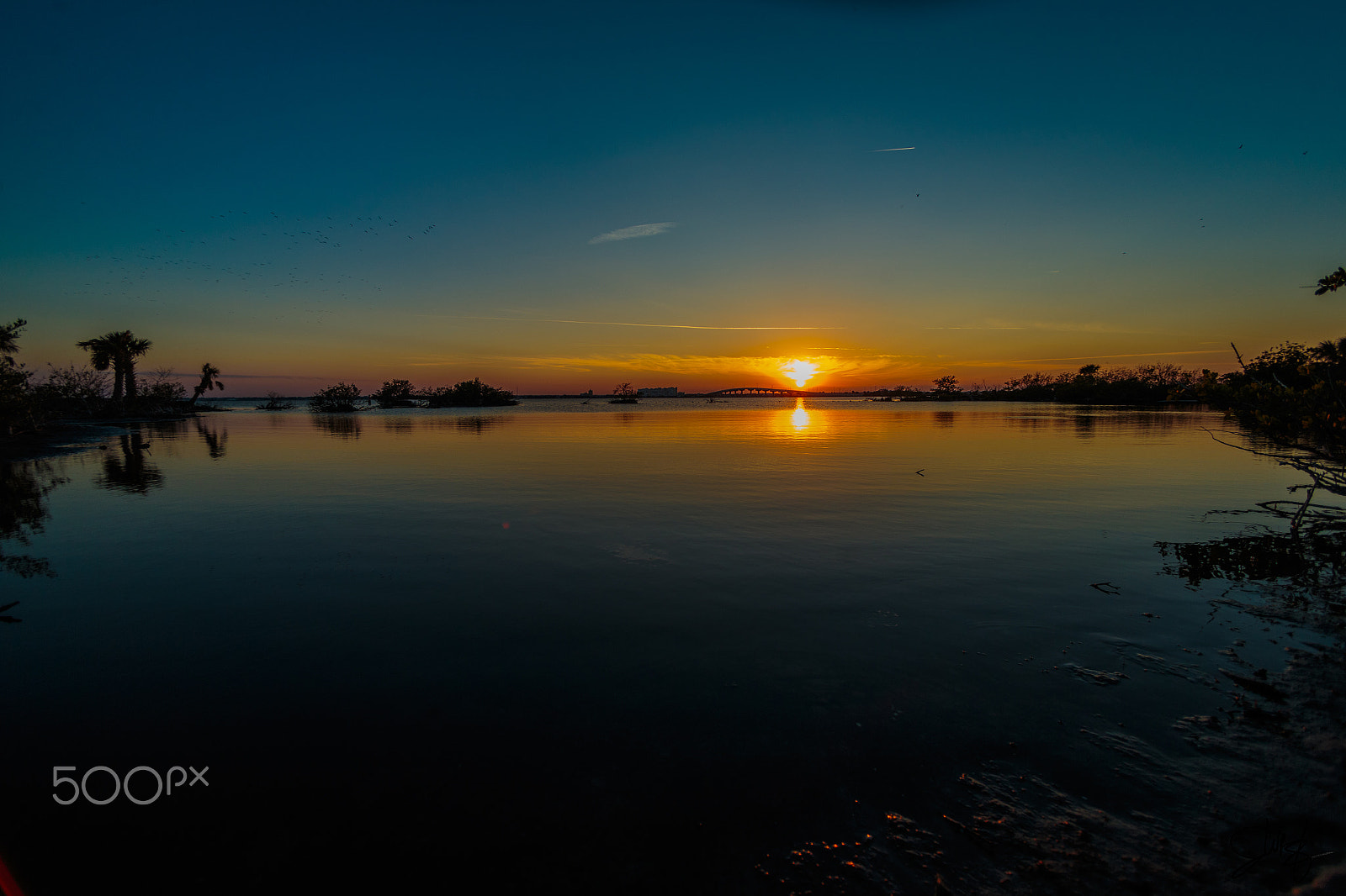 Canon EF 14mm F2.8L USM sample photo. Inter coastal waterways titusville, florida photography