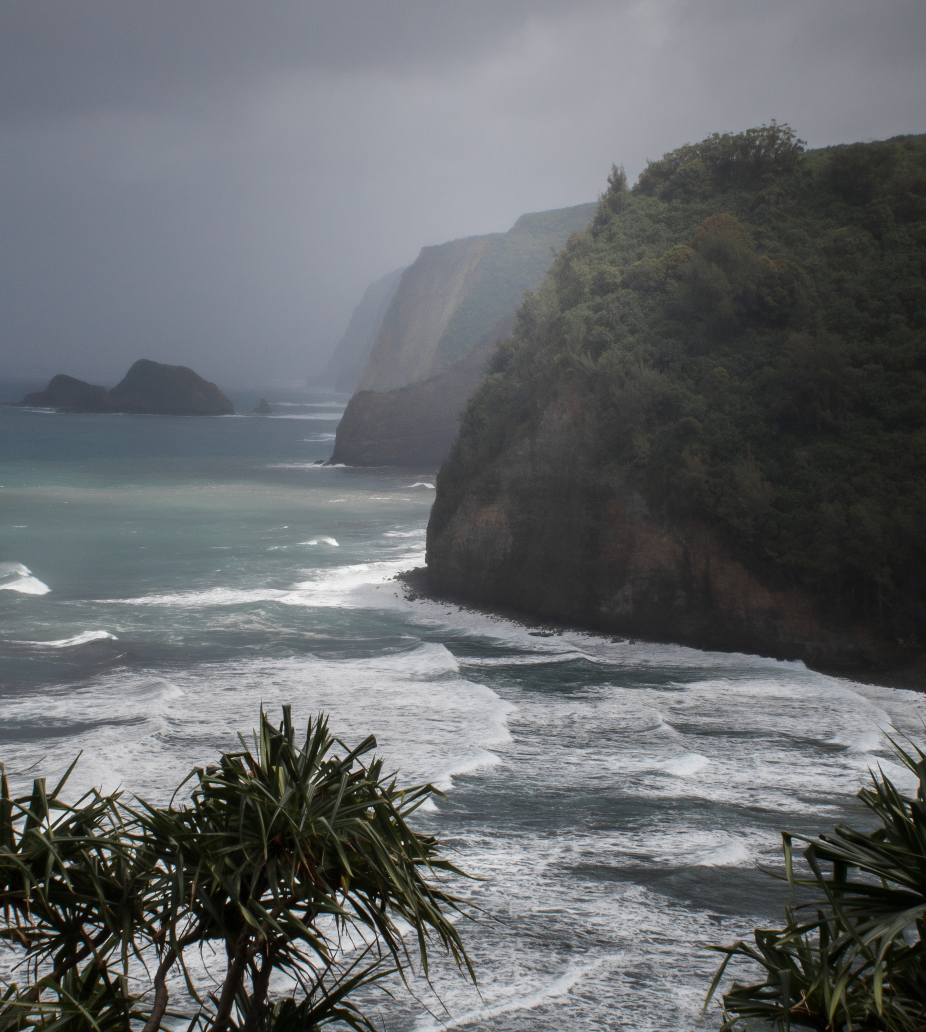 Canon EF 35mm F1.4L USM sample photo. Northcoast photography