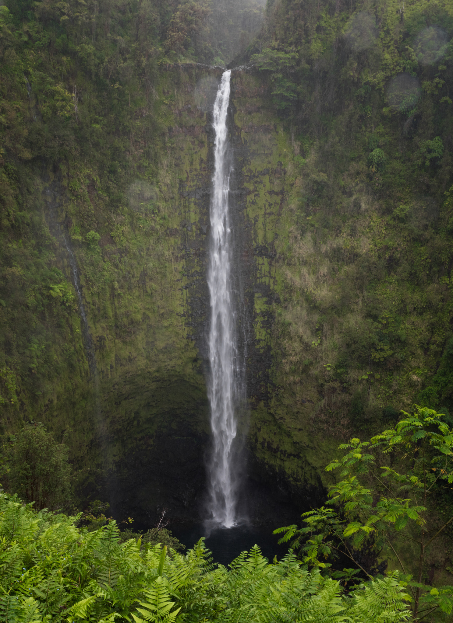 Canon EF 35mm F1.4L USM sample photo. Bigfallsbigisland photography