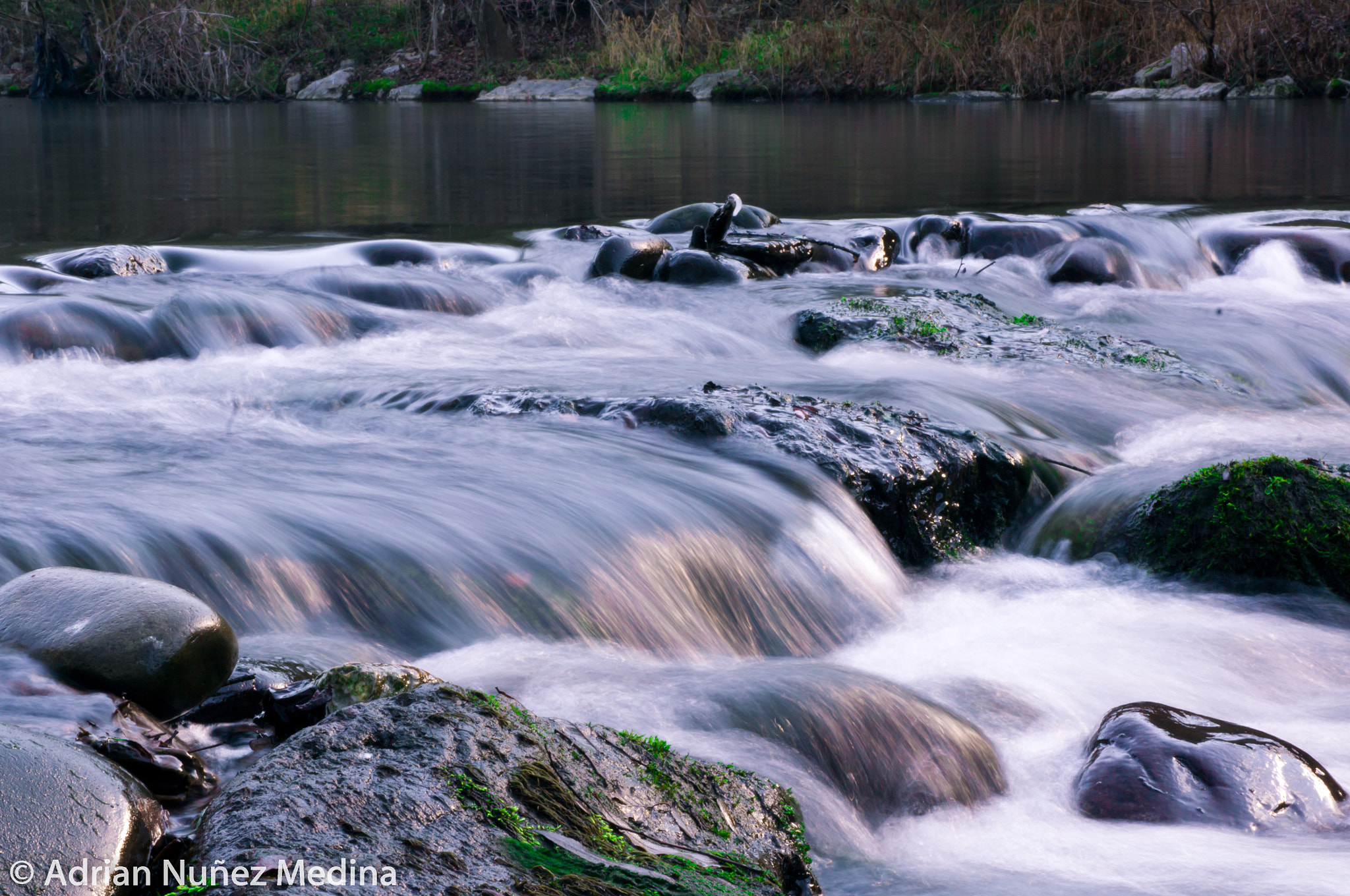 Pentax K-7 sample photo