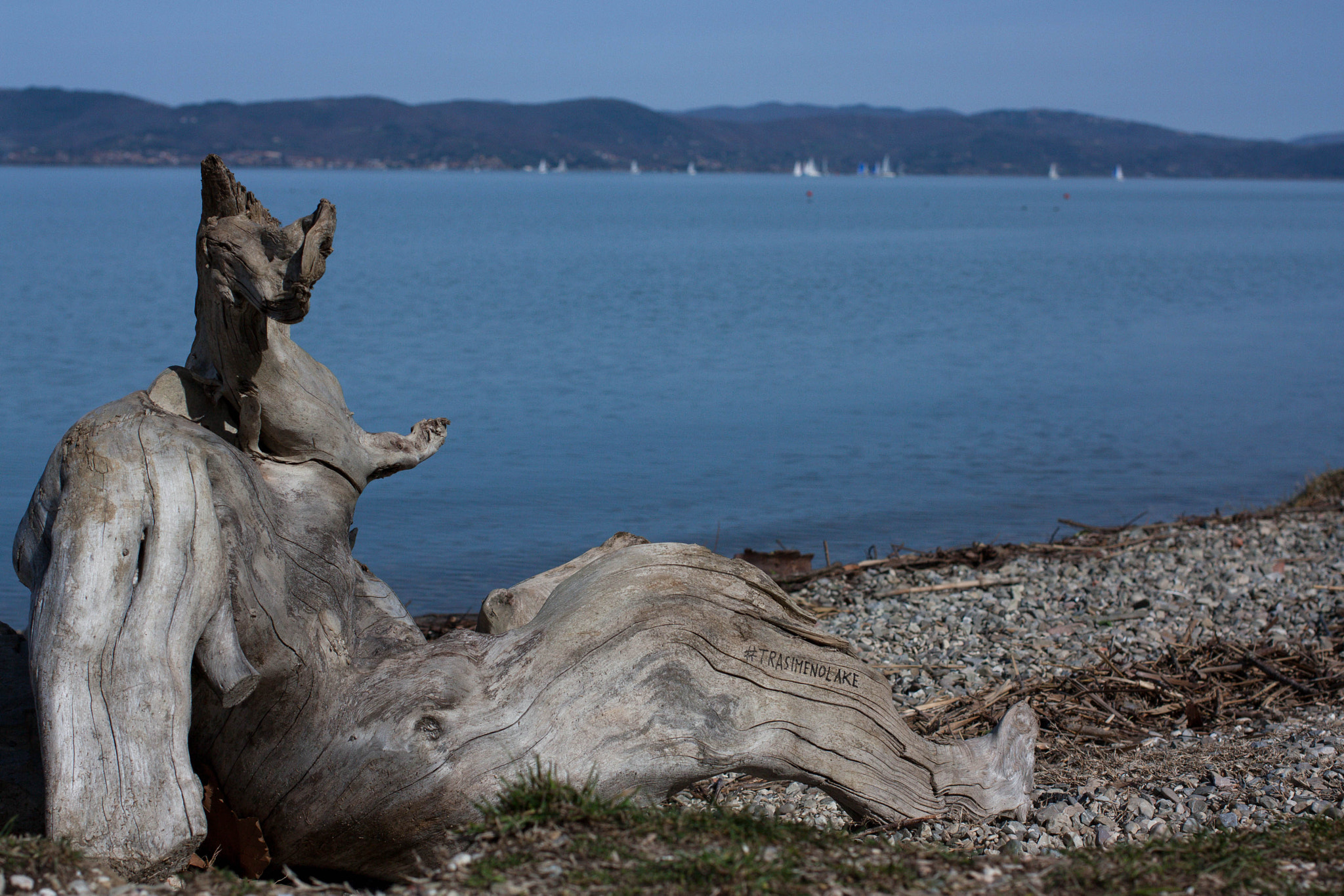 Canon EOS 450D (EOS Rebel XSi / EOS Kiss X2) sample photo. #trasimenolake photography