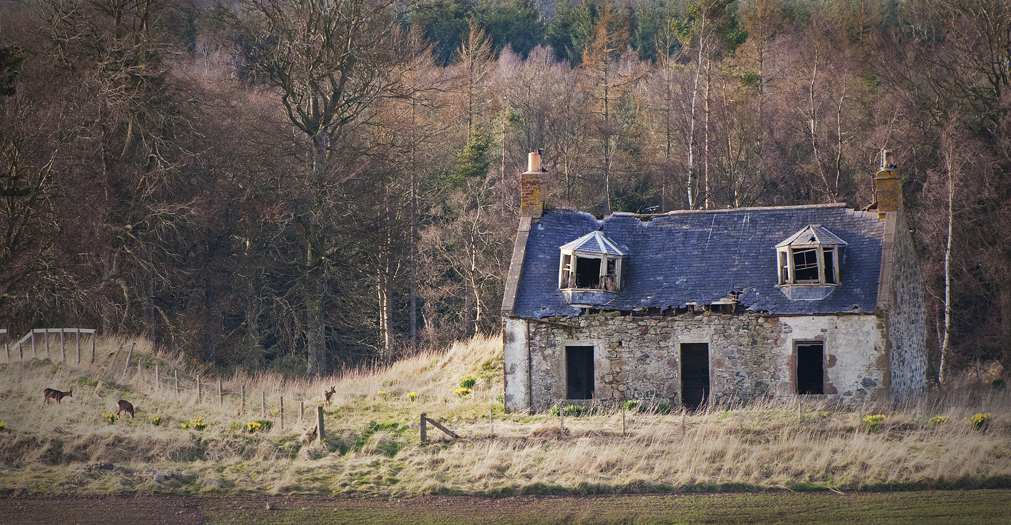 Nikon D300 sample photo. Derelict cottage & visitors photography