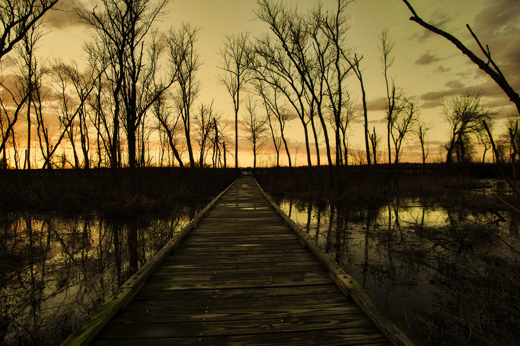 Canon EF 20-35mm f/2.8L sample photo. Board walk trail photography