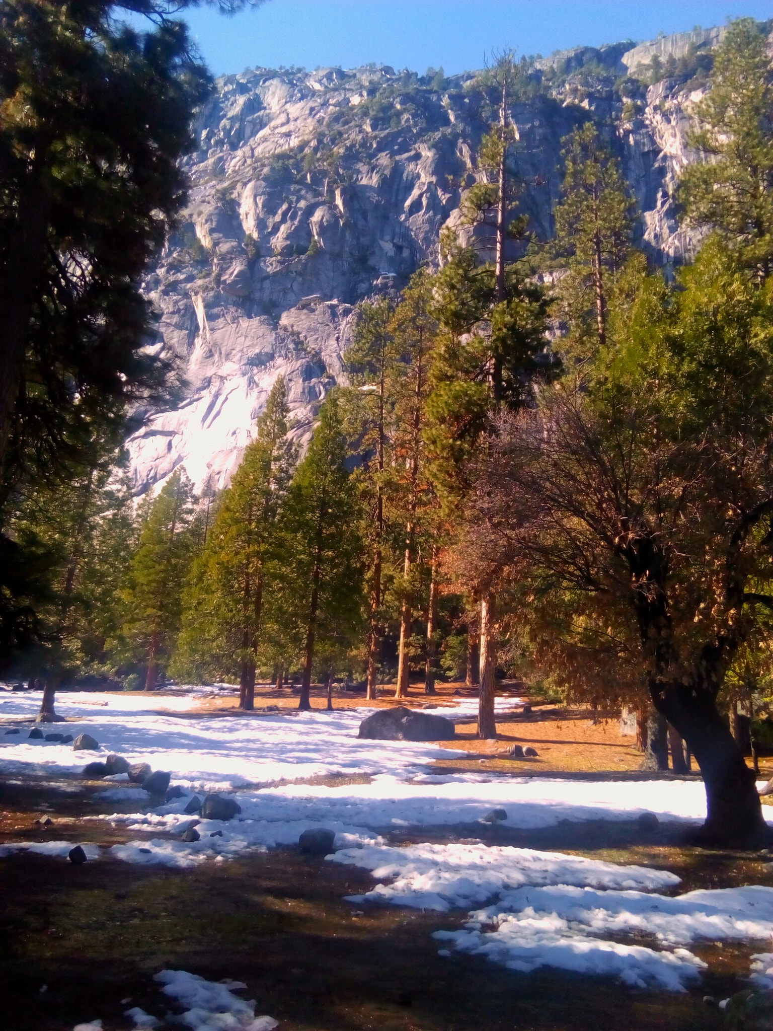 ZTE BLADE A452 sample photo. Camp 4, yosemite photography