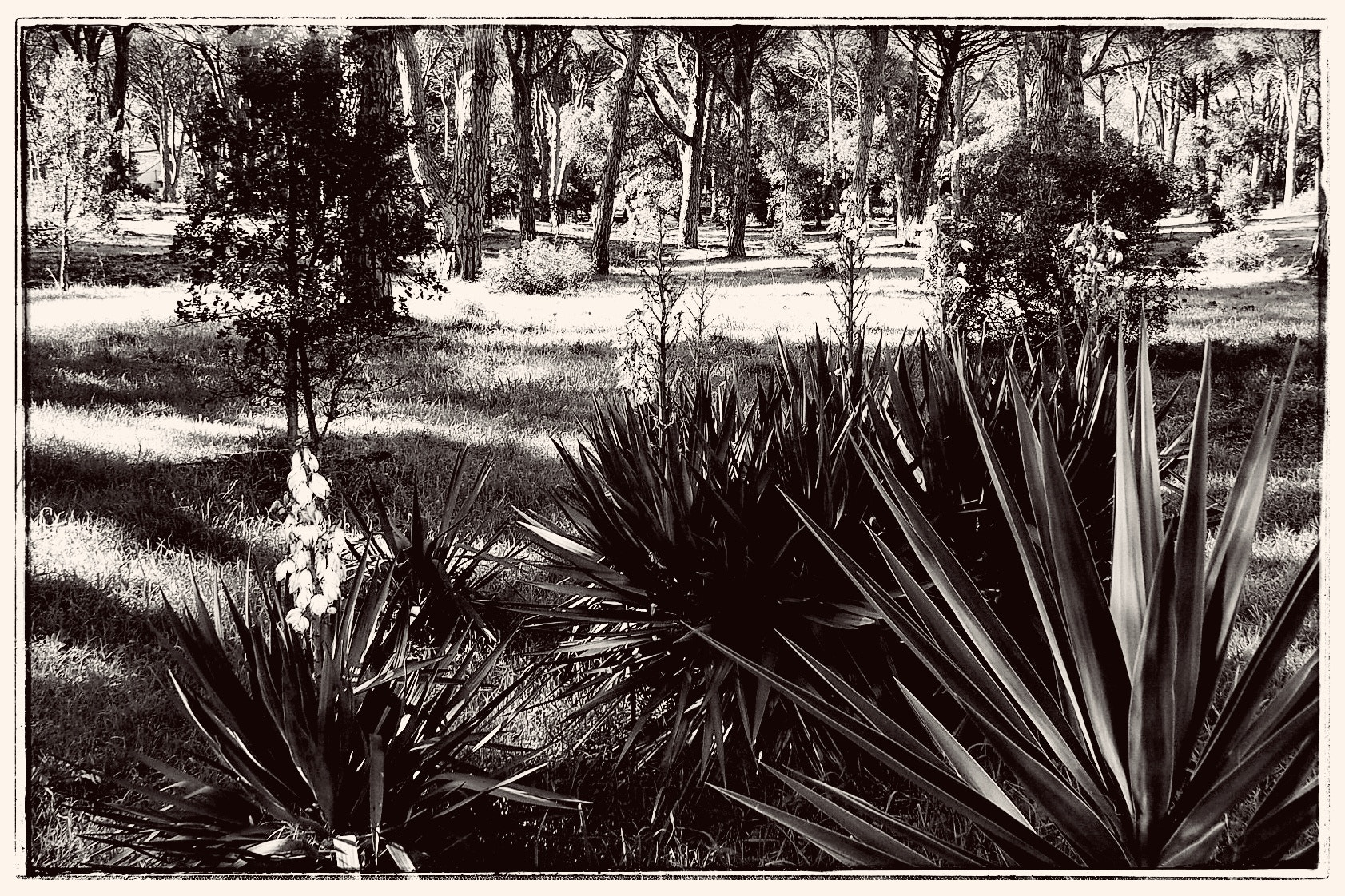 Olympus STYLUS1 sample photo. Canelle  photography