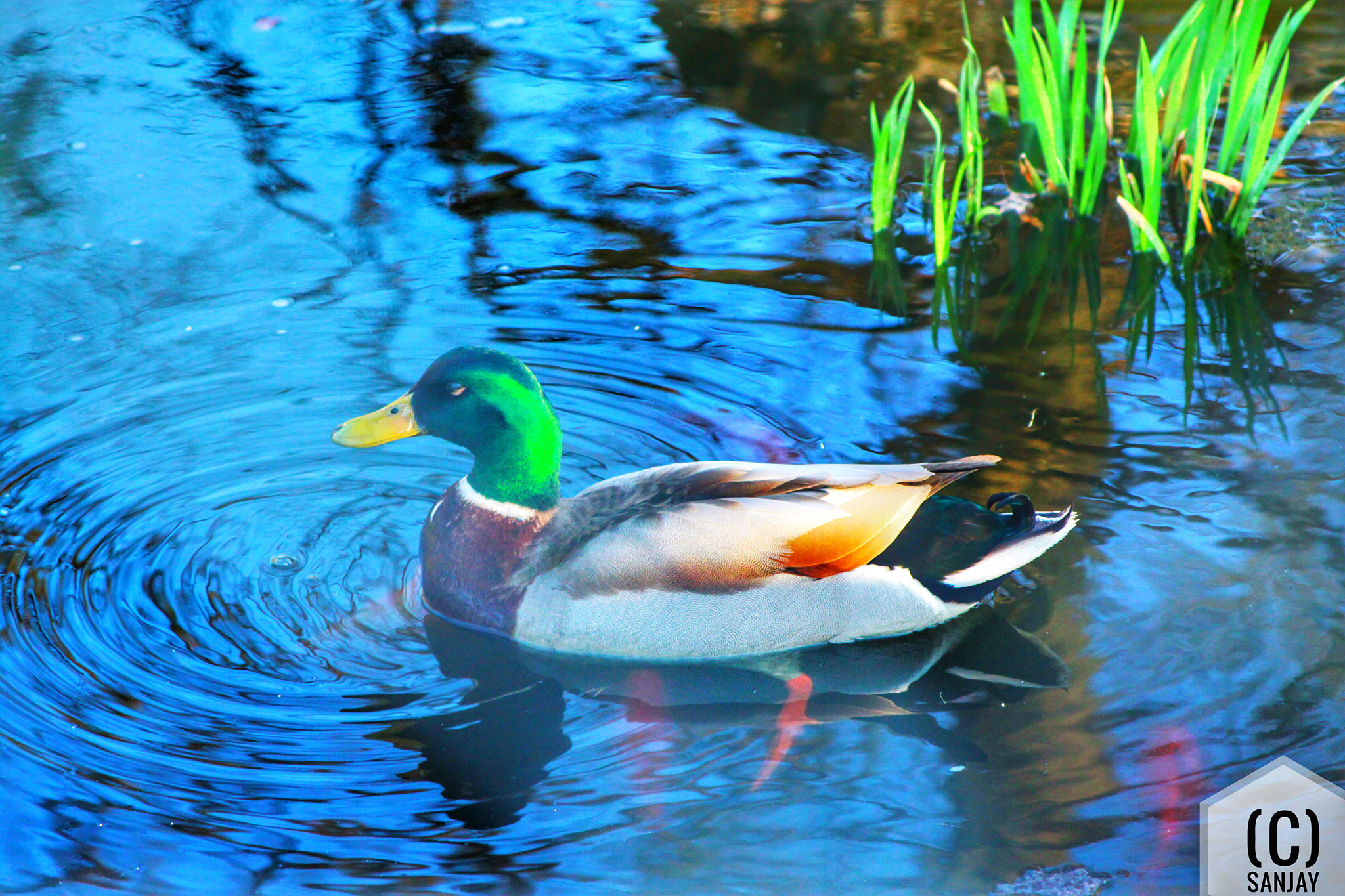 Canon EOS 500D (EOS Rebel T1i / EOS Kiss X3) sample photo. High lakes drama photography