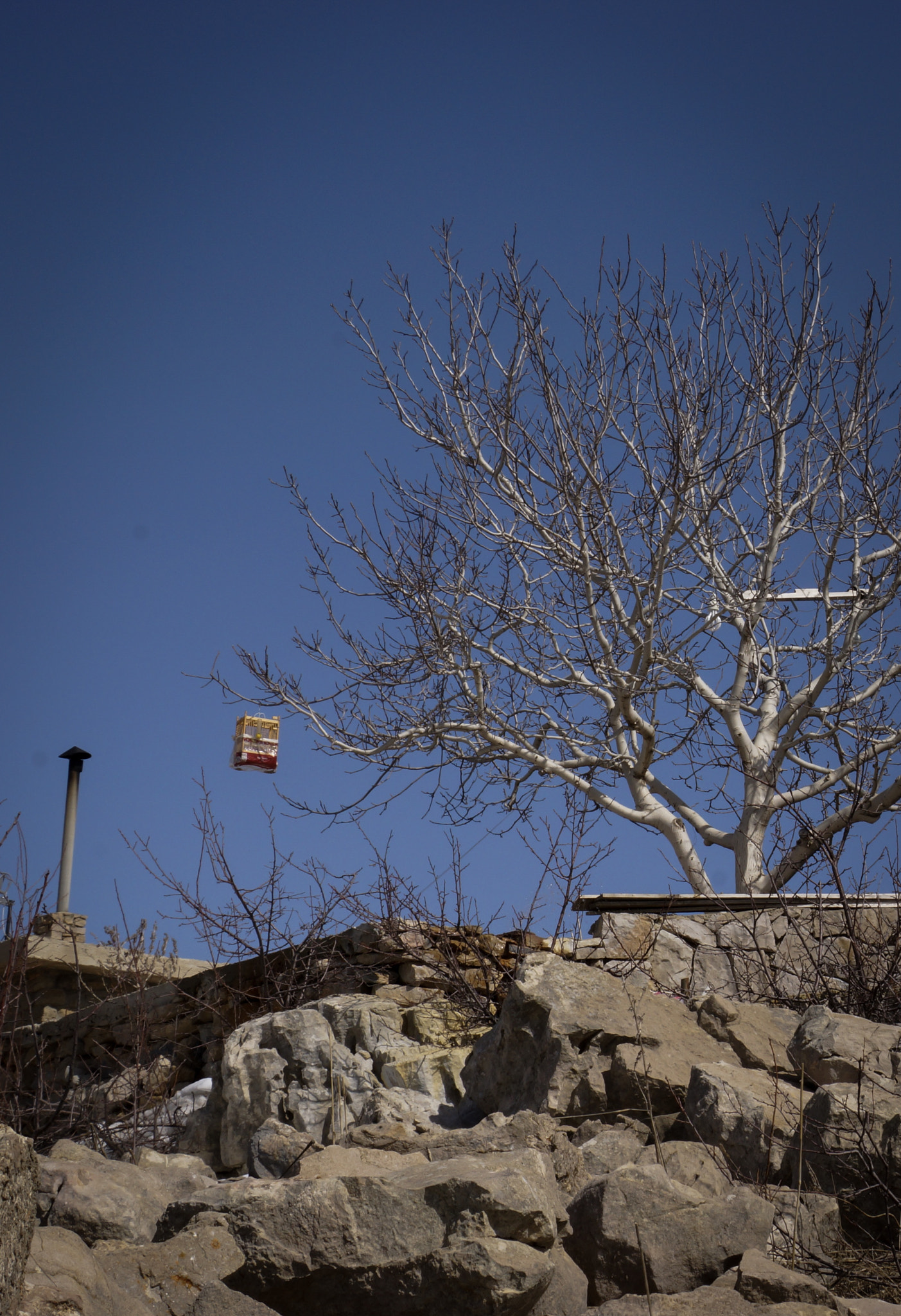 Sony DT 18-250mm F3.5-6.3 sample photo