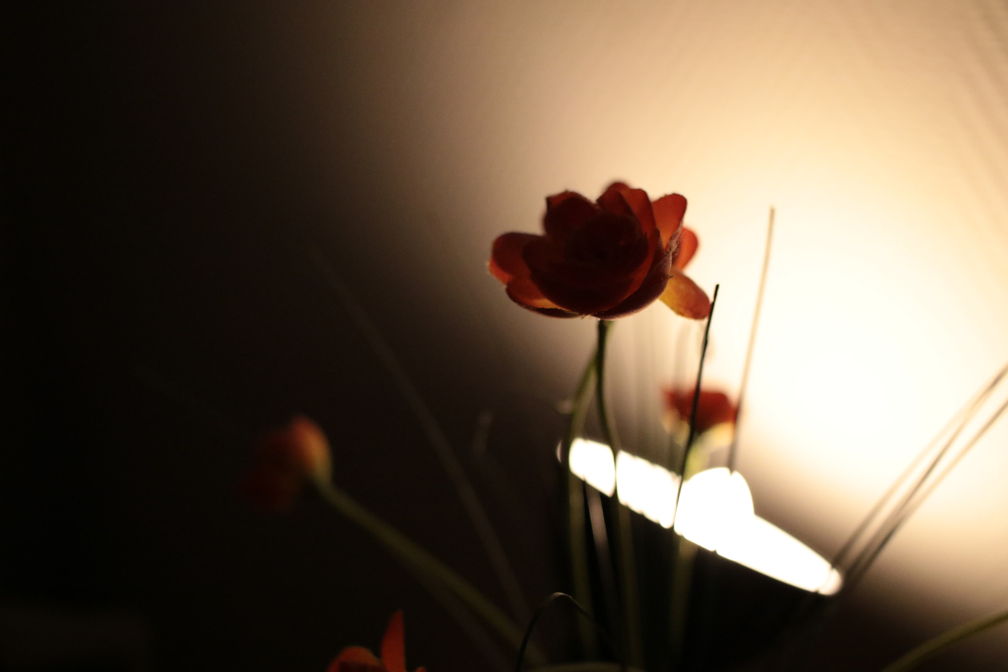 Canon EF-S 24mm F2.8 STM sample photo. Home sweet home. photography