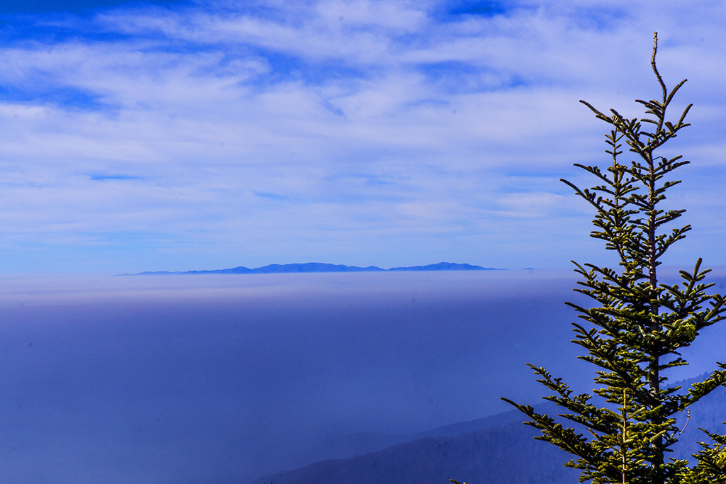 Sony a6000 + Sony FE 28-70mm F3.5-5.6 OSS sample photo. Smoky mountain photography