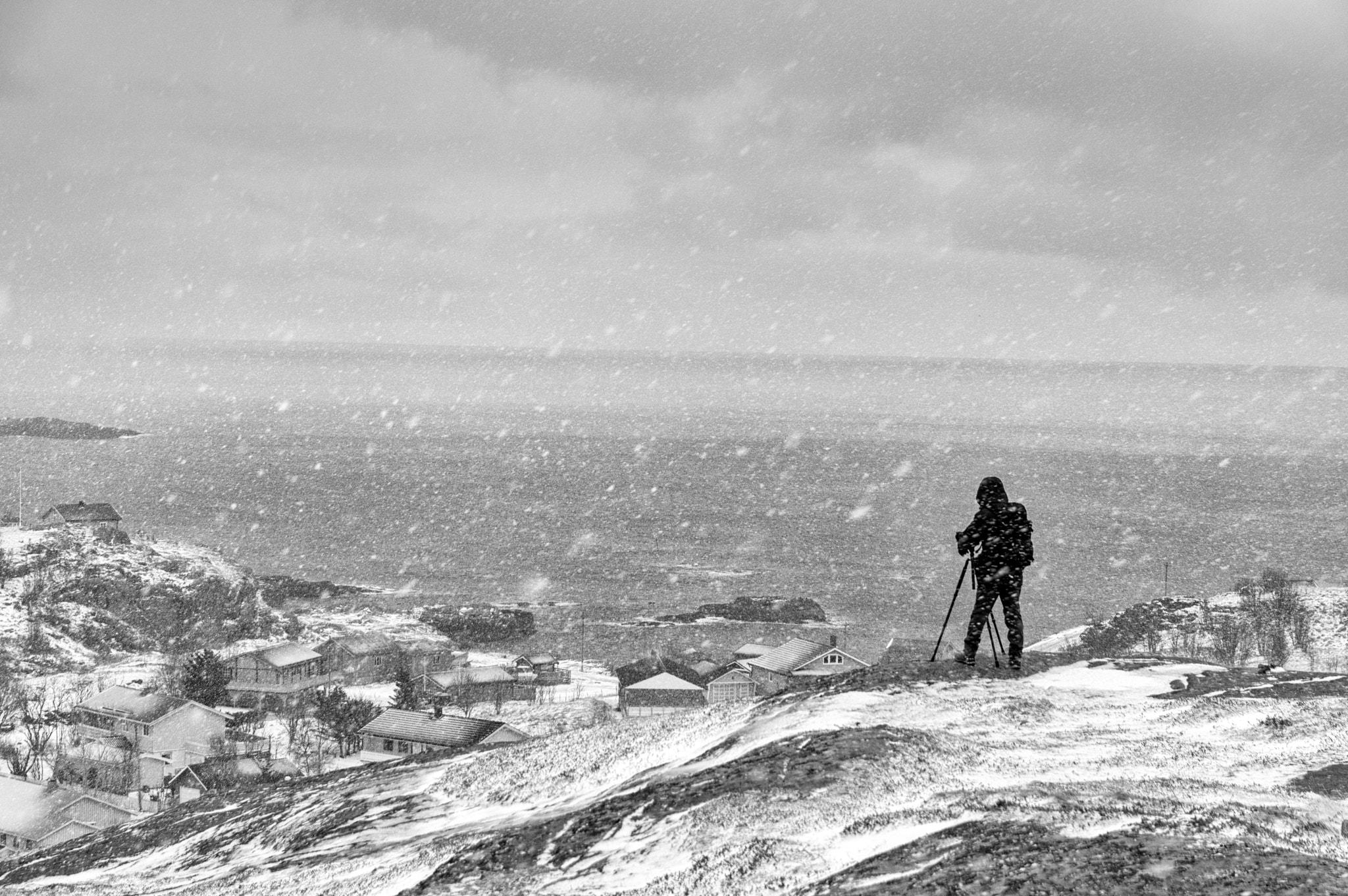 Sigma 17-50mm F2.8 EX DC HSM sample photo. It's snowing photography