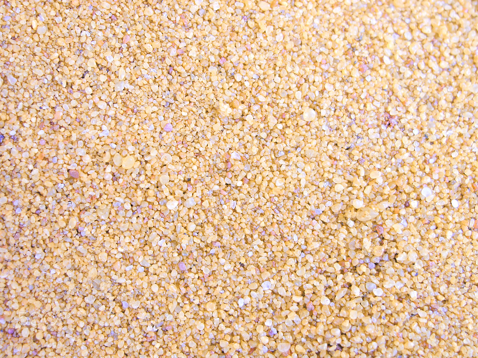 Olympus C5060WZ sample photo. Sand texture photography