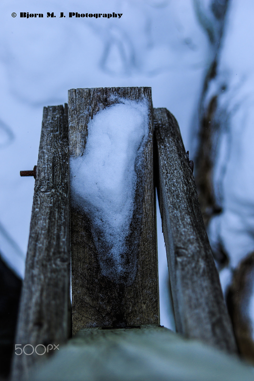 Sigma 24-70mm F2.8 EX DG Macro sample photo. Winther pictures photography