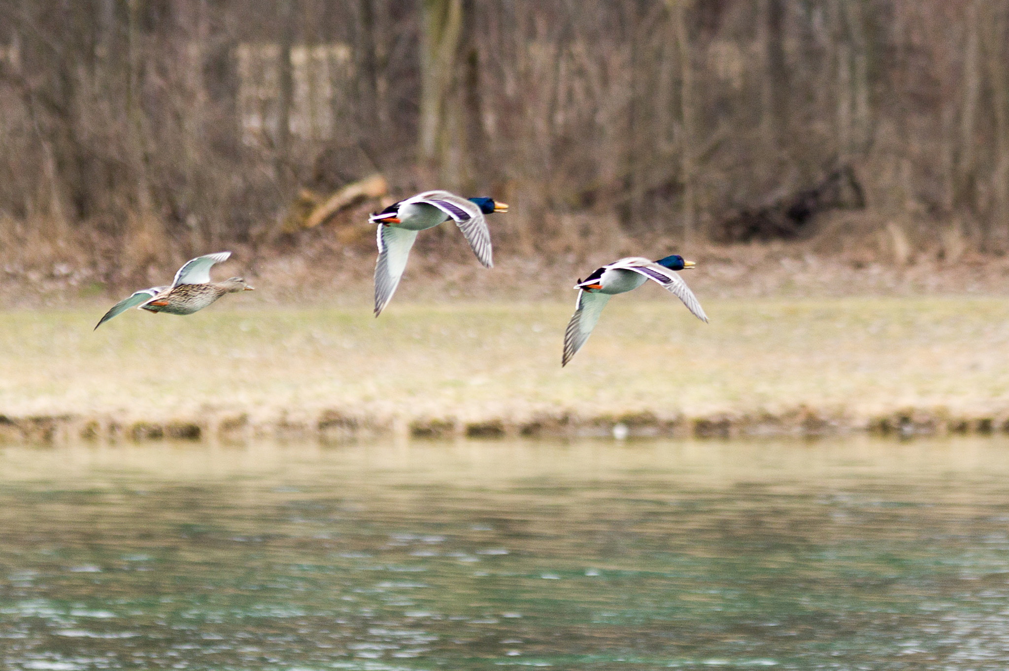Pentax K-3 II sample photo. Family journey photography