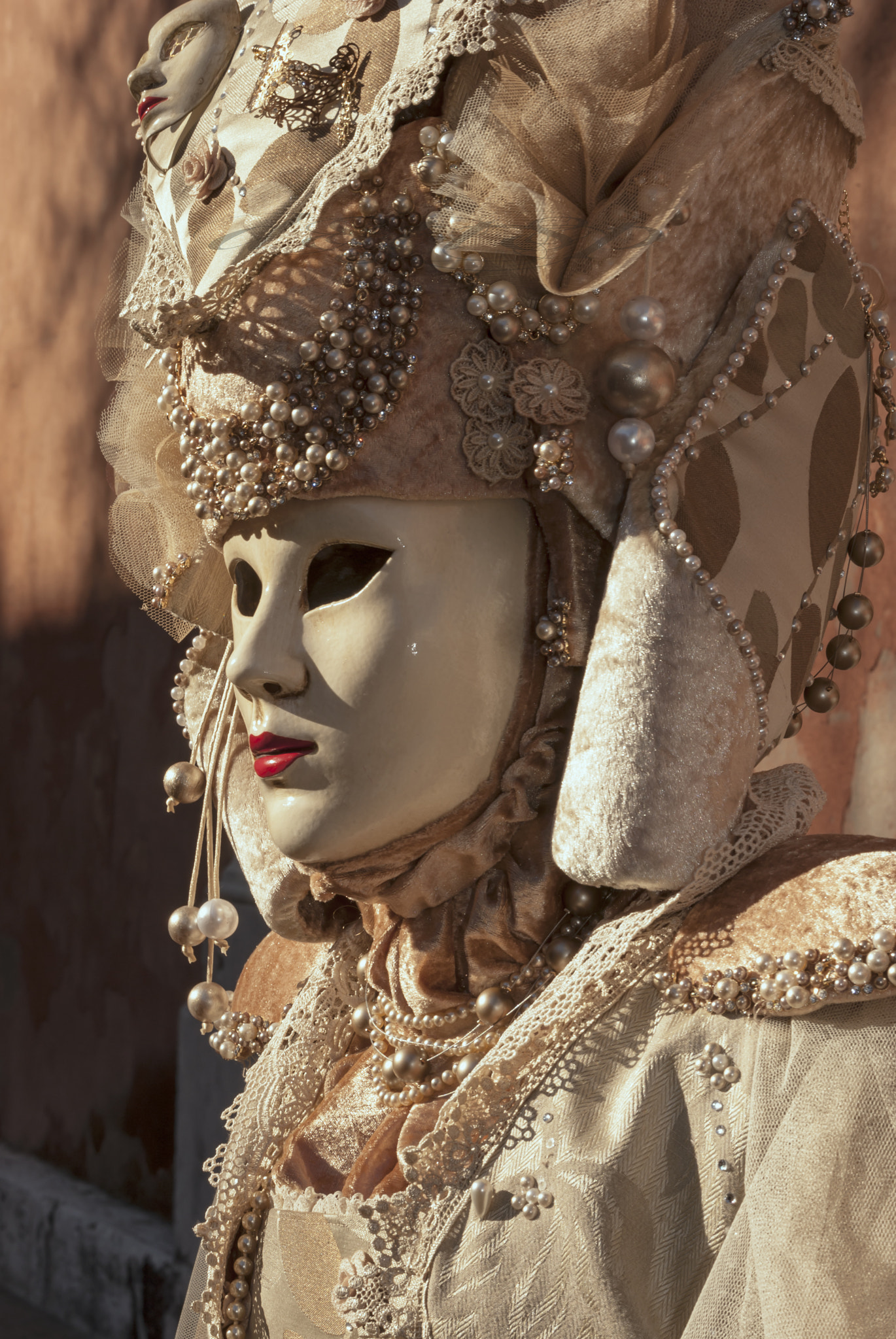 Nikon D700 + Sigma 70-200mm F2.8 EX DG OS HSM sample photo. " carnaval a venise " photography