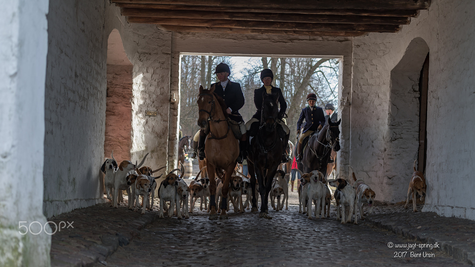 Nikon AF-S Nikkor 70-200mm F2.8G ED VR II sample photo. Riding with dogs photography