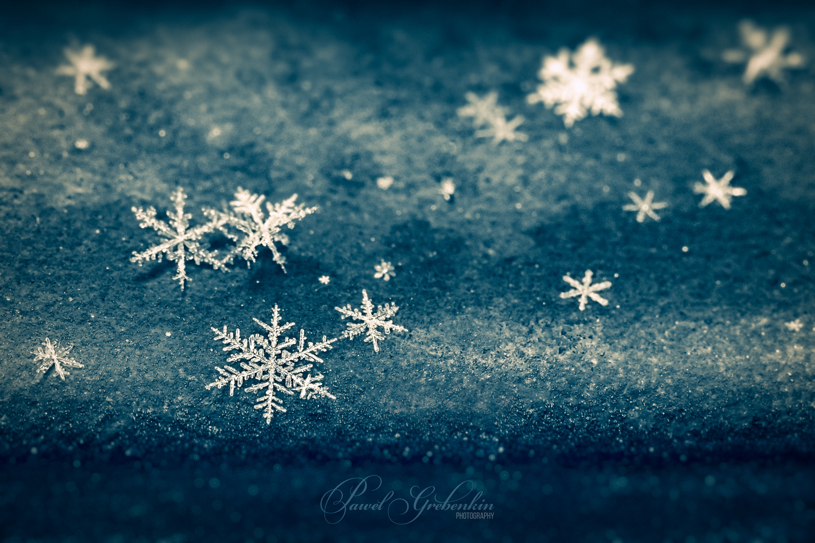 Canon EF 100mm F2.8L Macro IS USM sample photo. Snowflakes on dark background photography