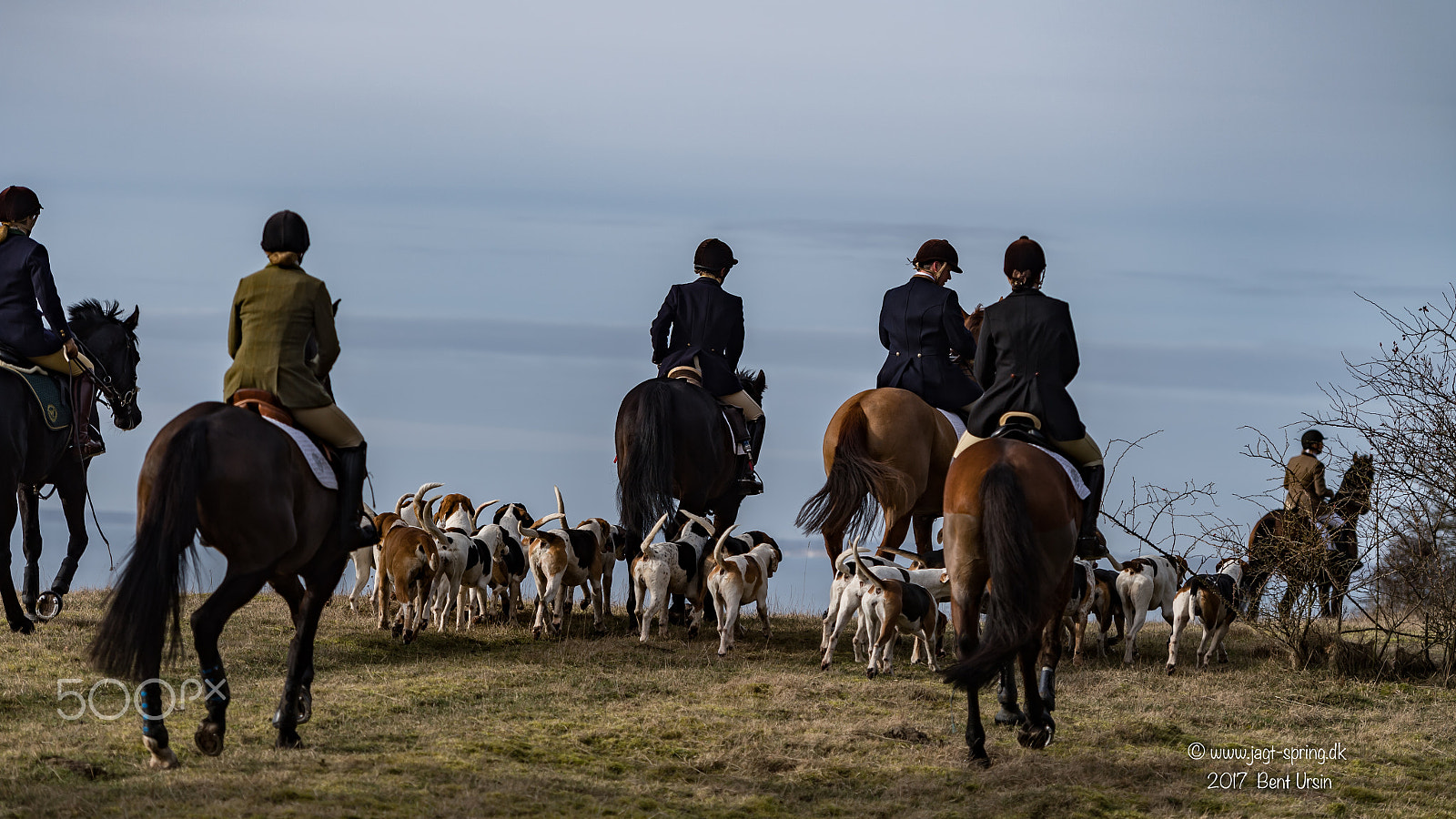 Nikon AF-S Nikkor 70-200mm F2.8G ED VR II sample photo. Riding with dogs photography