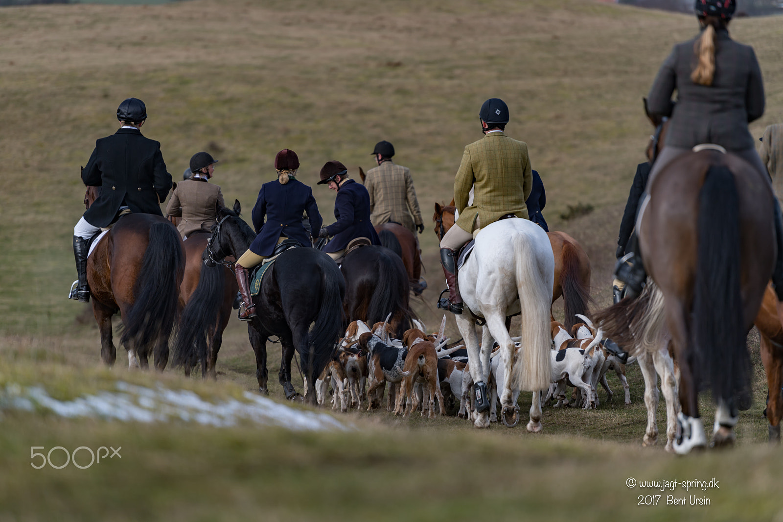 Nikon AF-S Nikkor 70-200mm F2.8G ED VR II sample photo. Riding with dogs photography