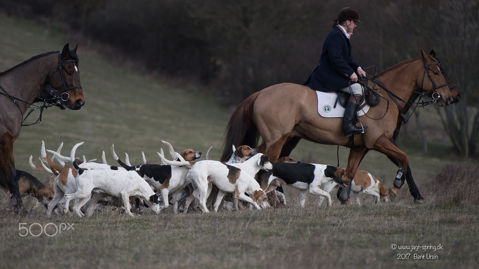 Nikon AF-S Nikkor 70-200mm F2.8G ED VR II sample photo. Riding with dogs photography