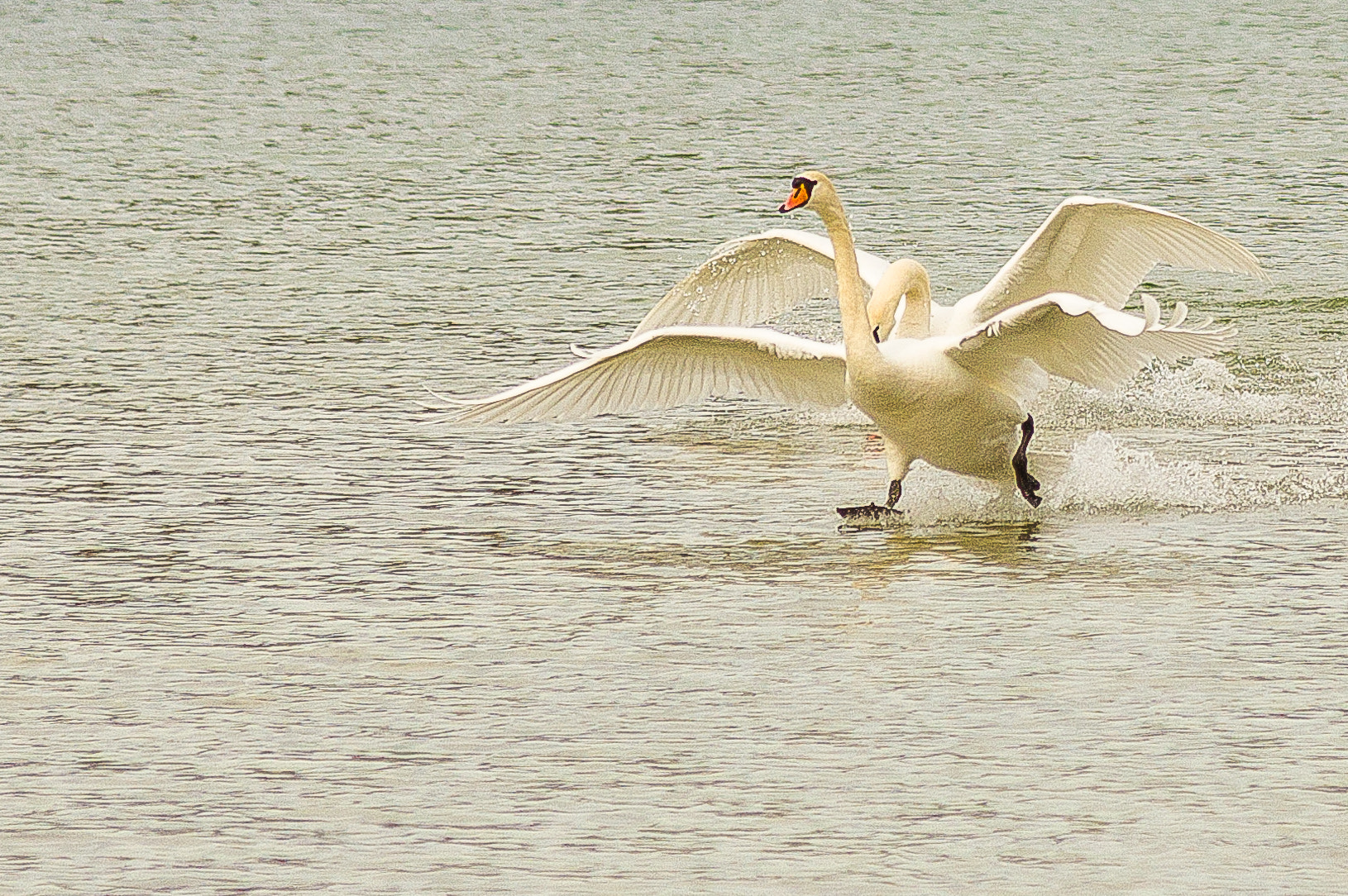 Pentax K-3 II sample photo. The landing ... photography