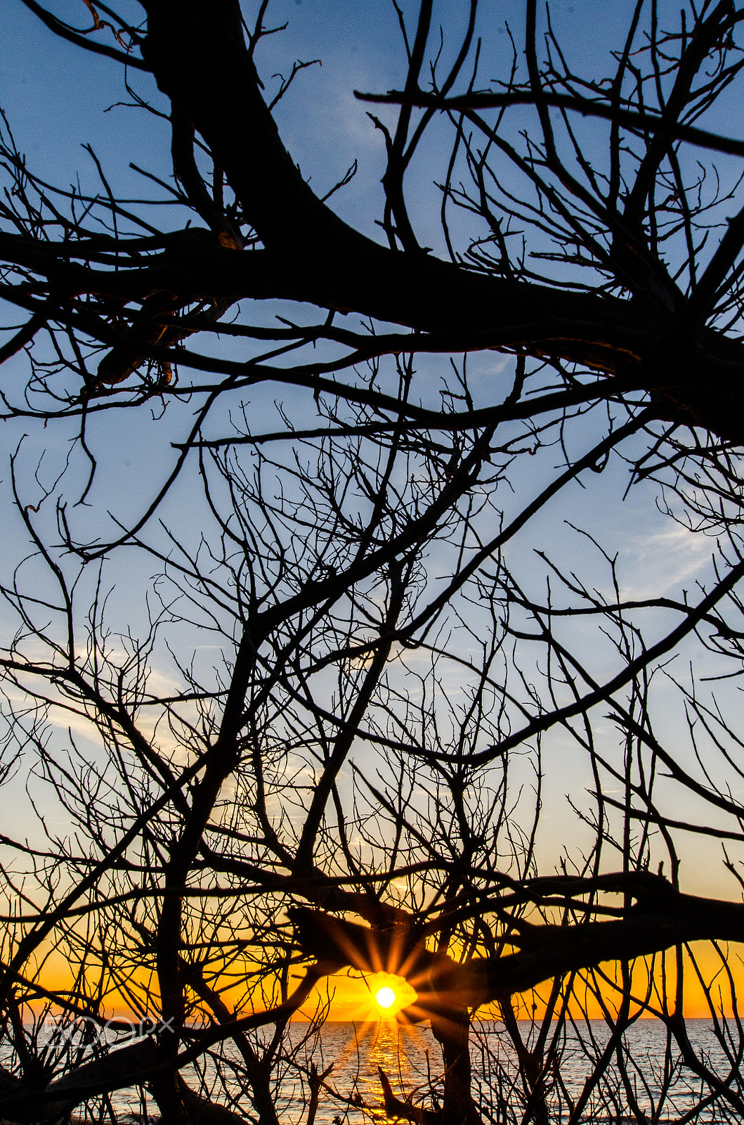 Nikon D7000 + Sigma 10-20mm F3.5 EX DC HSM sample photo. Trapped photography
