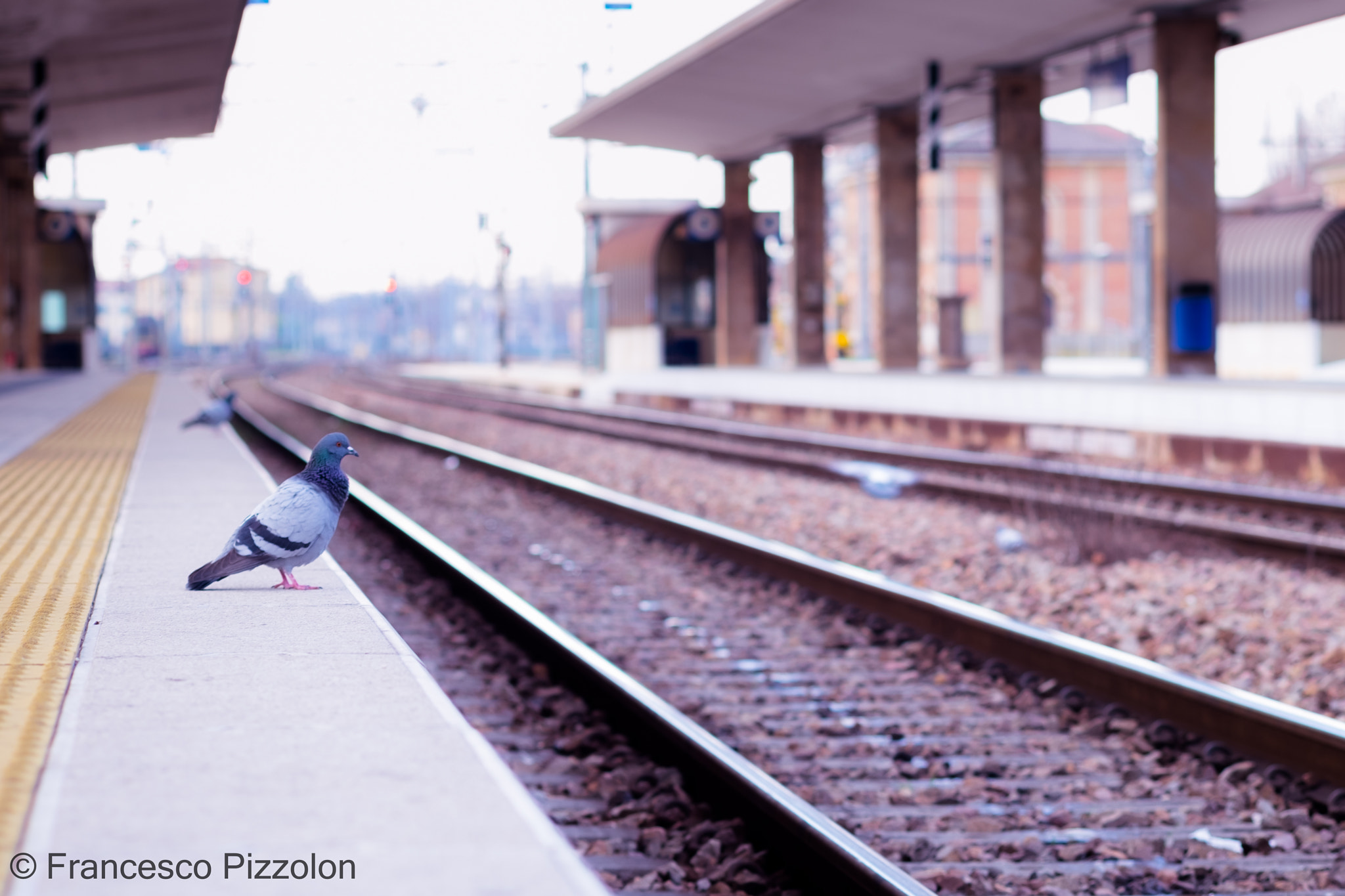 Fujifilm X-T10 + Fujifilm XF 60mm F2.4 R Macro sample photo. Train station photography