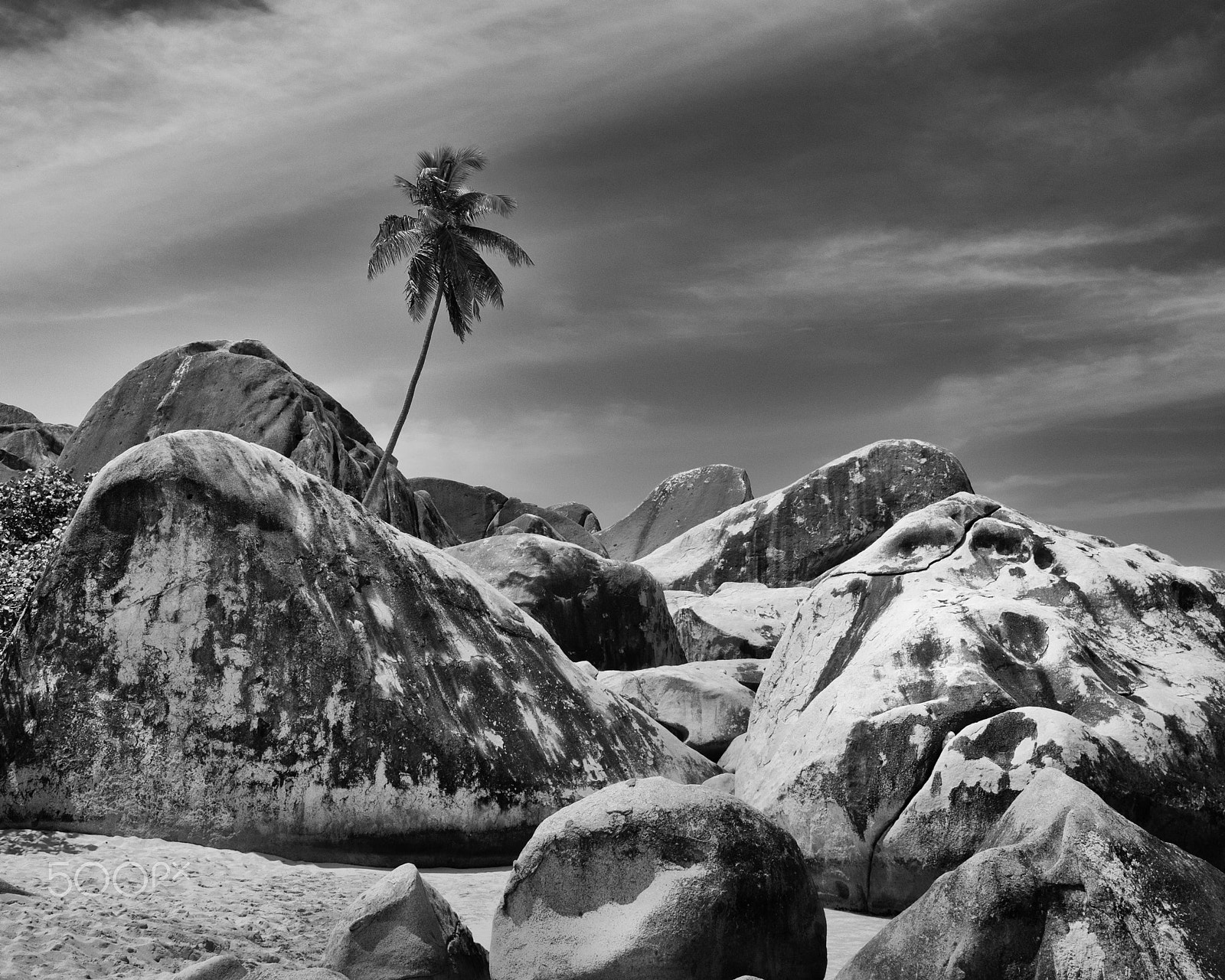 Nikon D300 + Sigma 18-50mm F2.8 EX DC Macro sample photo. Palm in the rock, the baths, bvi photography