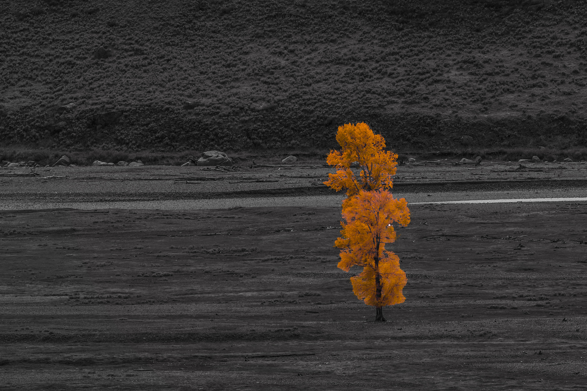 Canon EF 300mm F2.8L IS II USM sample photo. Yellowstone nationalpark photography