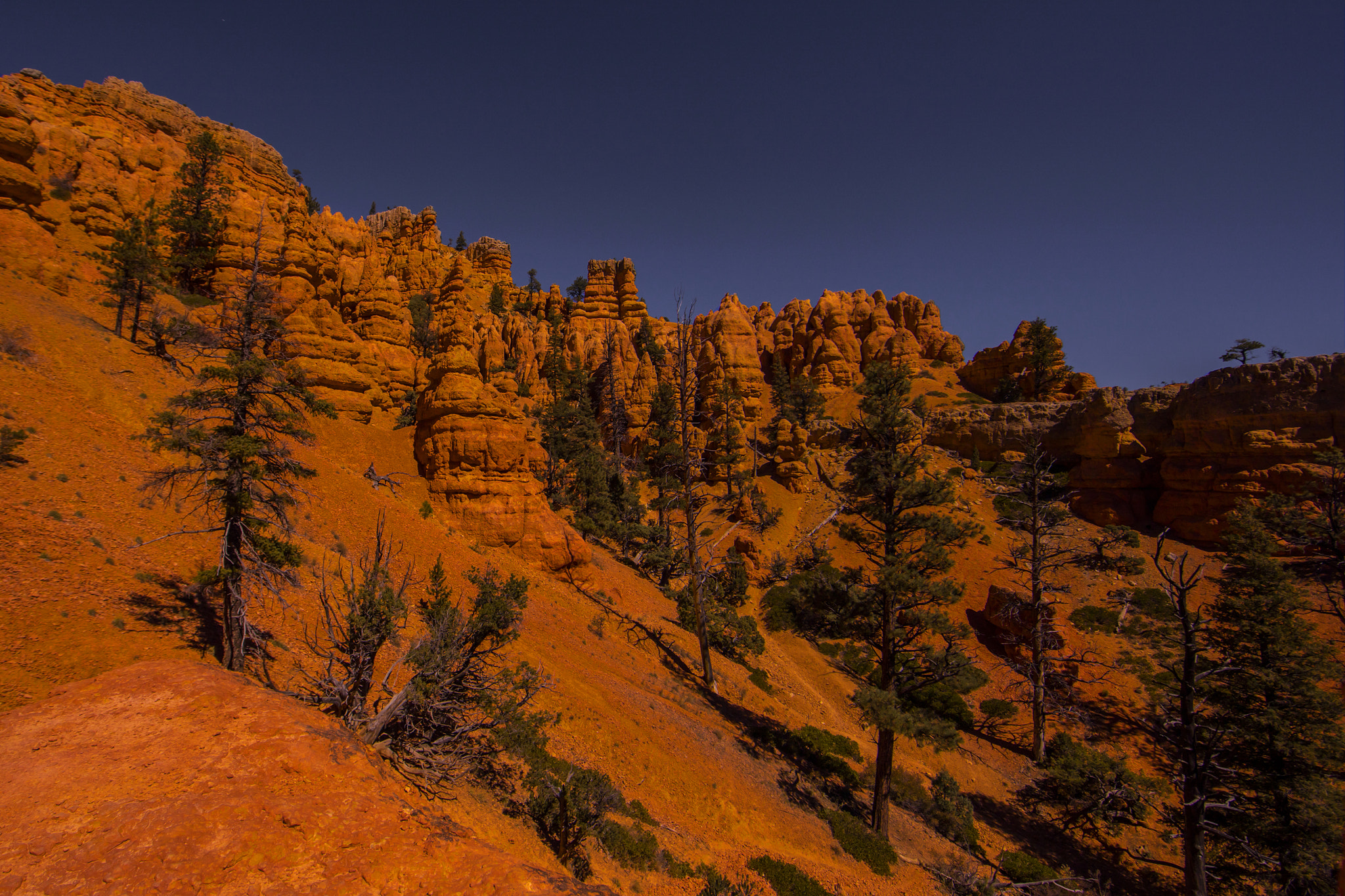 Canon EF 14mm F2.8L II USM sample photo. Red canyon photography