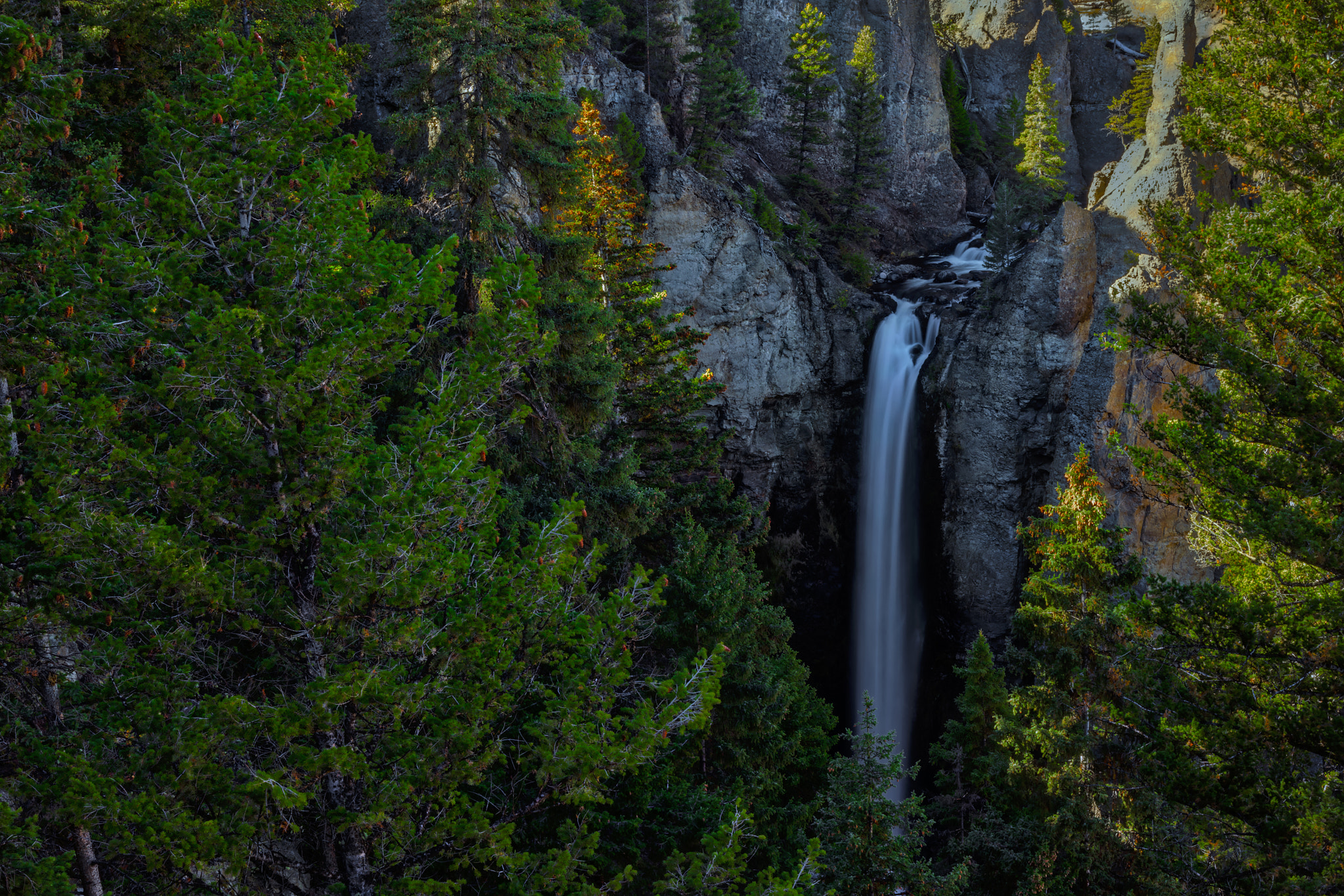 Canon EF 50mm F1.8 II sample photo. Yellowstone nationalpark photography