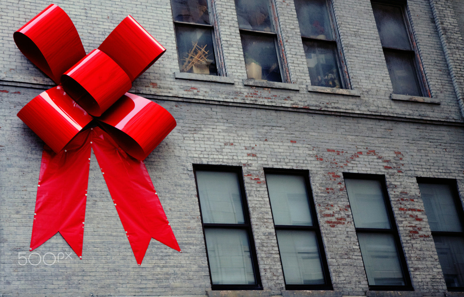 Canon EF-S 17-55mm F2.8 IS USM sample photo. Big red bow photography