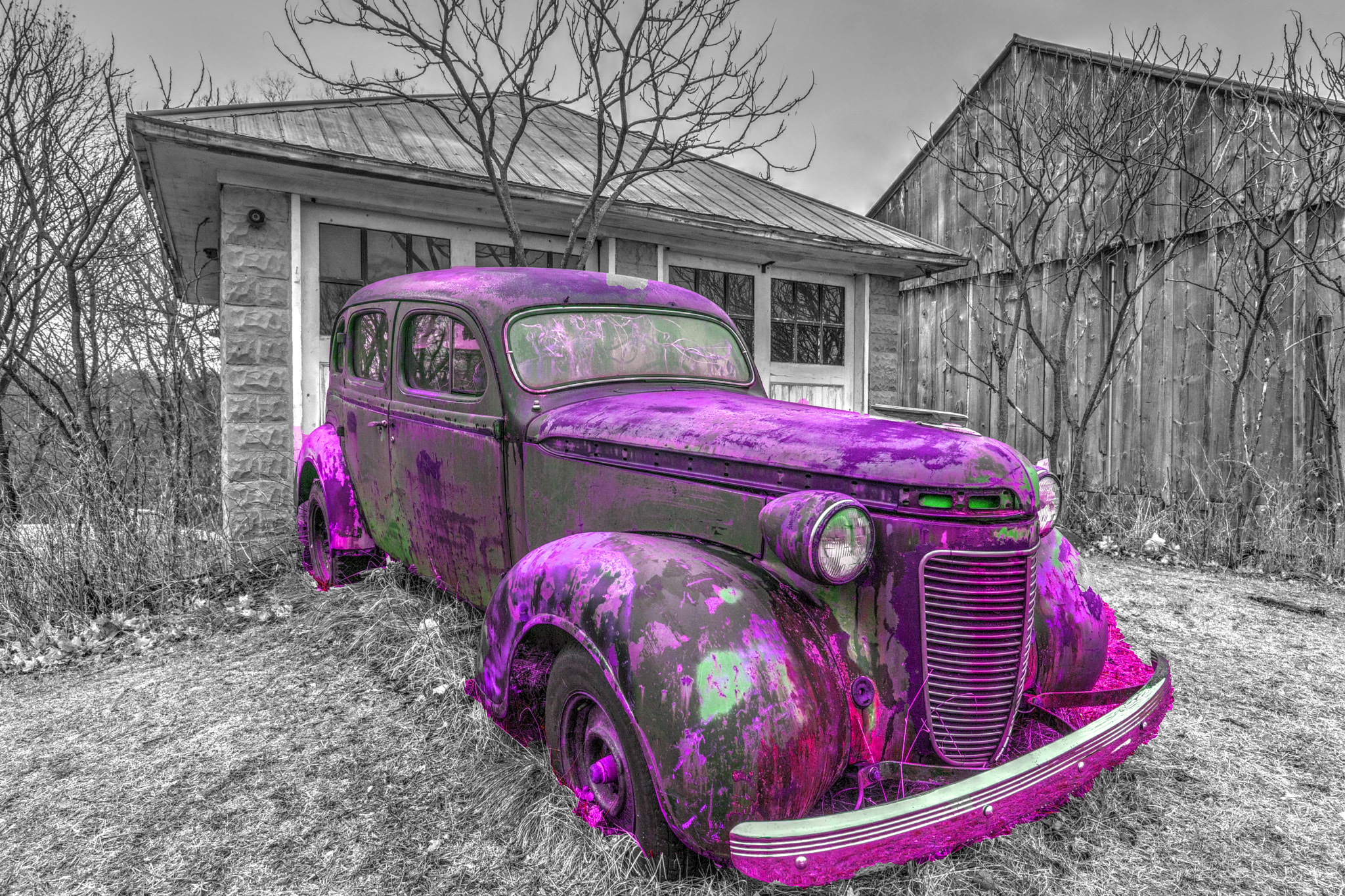 Canon EF 16-35mm F4L IS USM sample photo. Purple photography