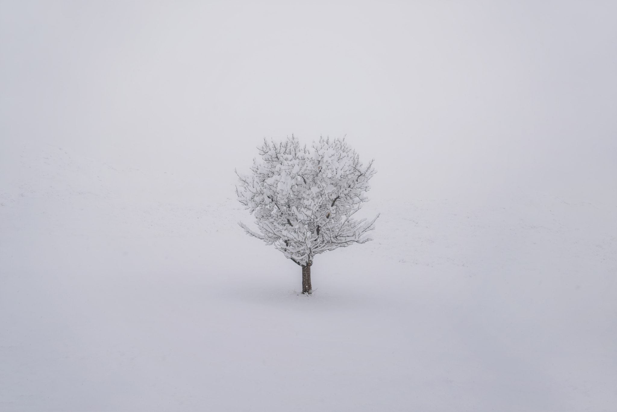 Sony a7R sample photo. Alone photography