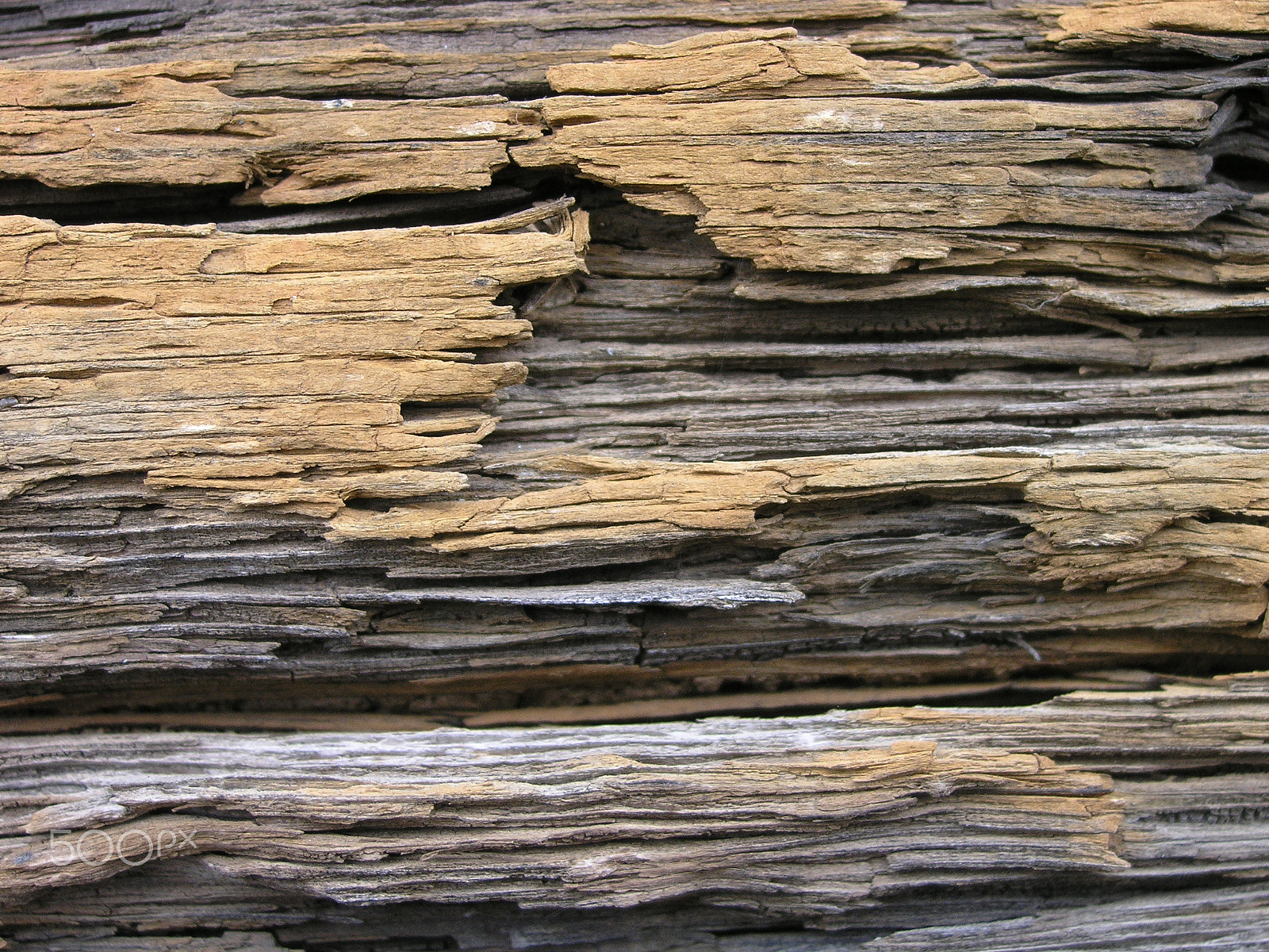 Olympus C5060WZ sample photo. Old wood fibers texture photography