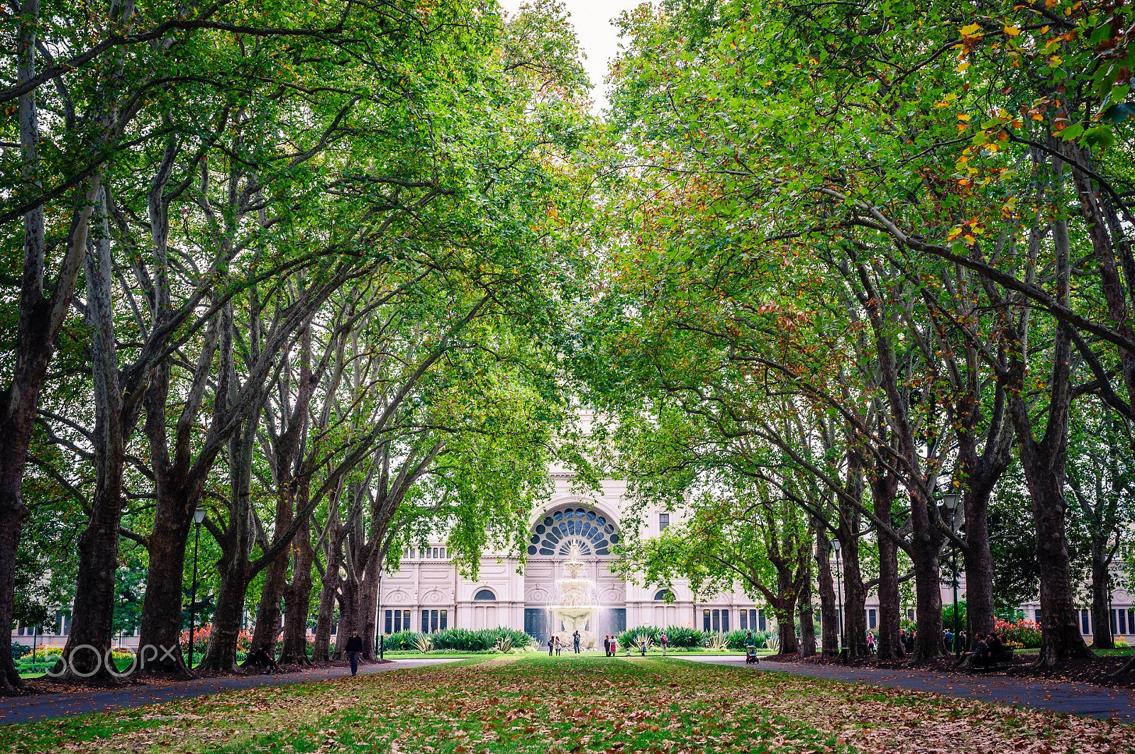 Sony Alpha NEX-5N + E 0mm F0 sample photo. Melbourne photography