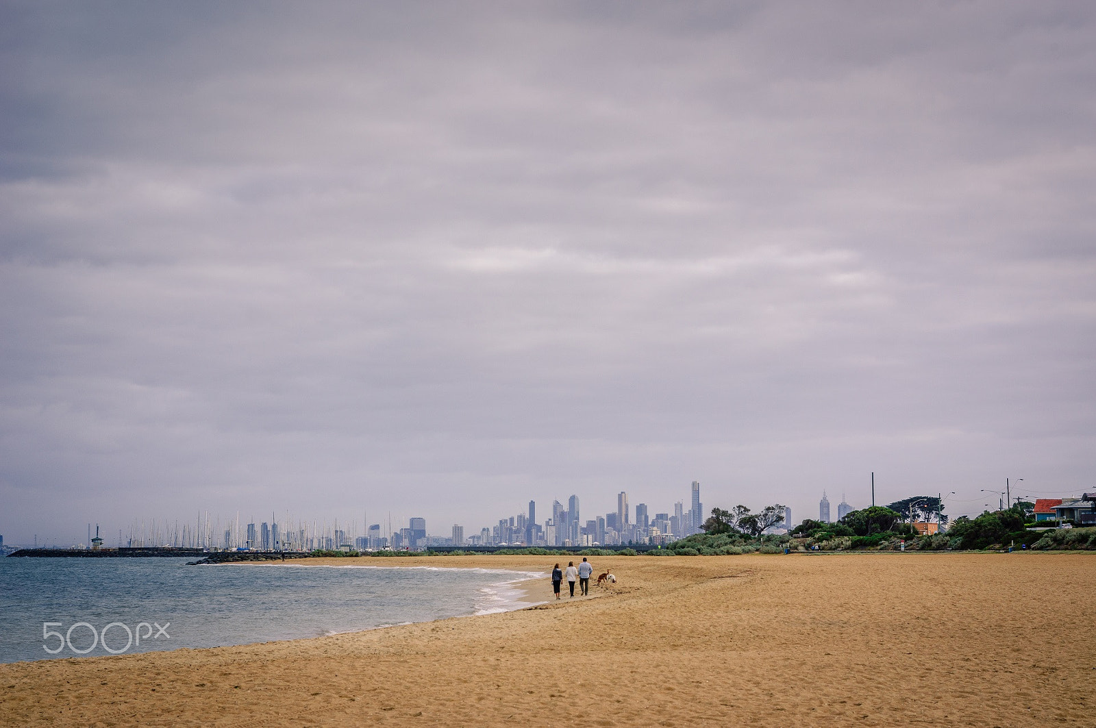 55mm F1.8 ZA sample photo. Melbourne photography