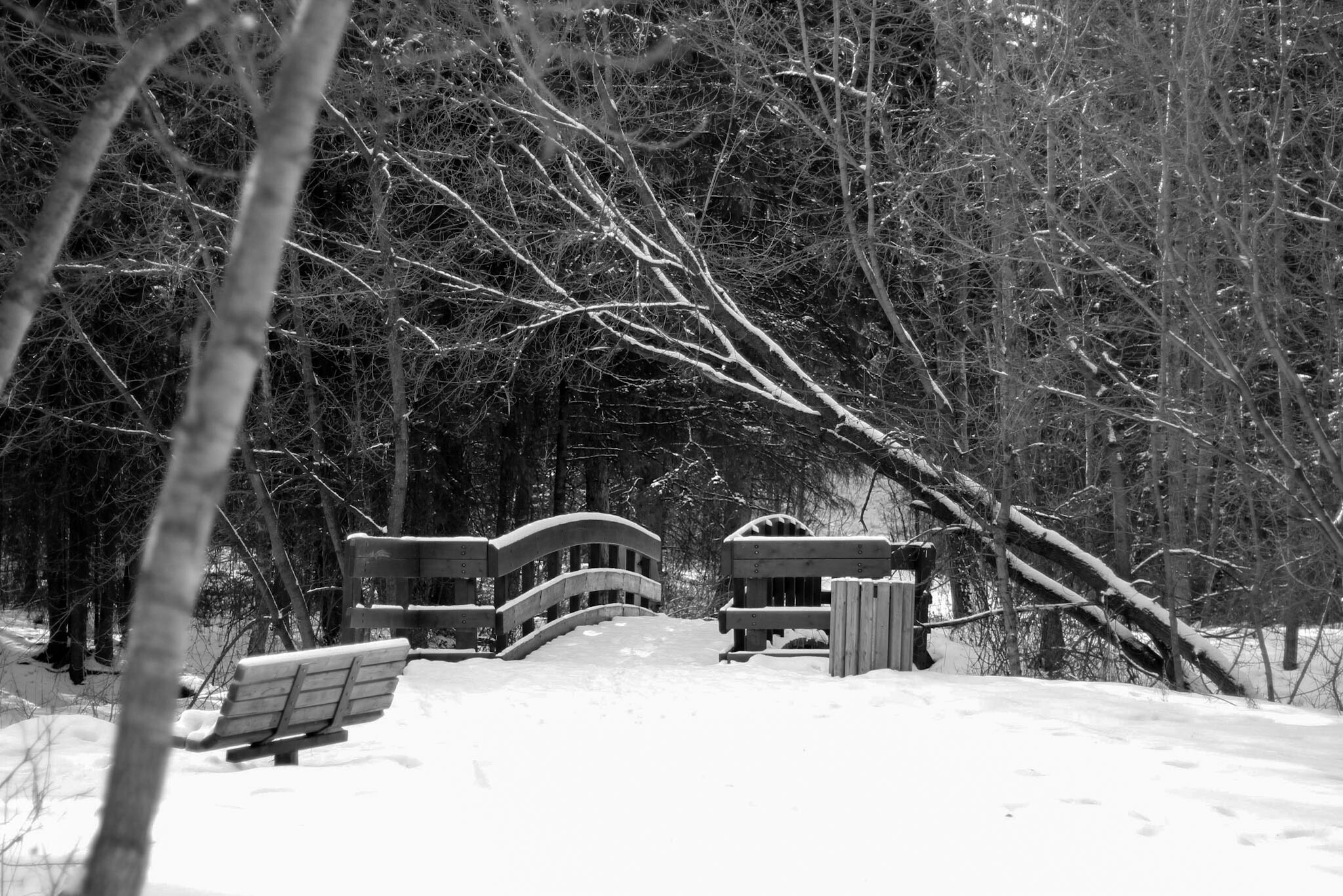 Canon EOS 600D (Rebel EOS T3i / EOS Kiss X5) + Canon EF 50mm F1.8 II sample photo. Day on the paths photography