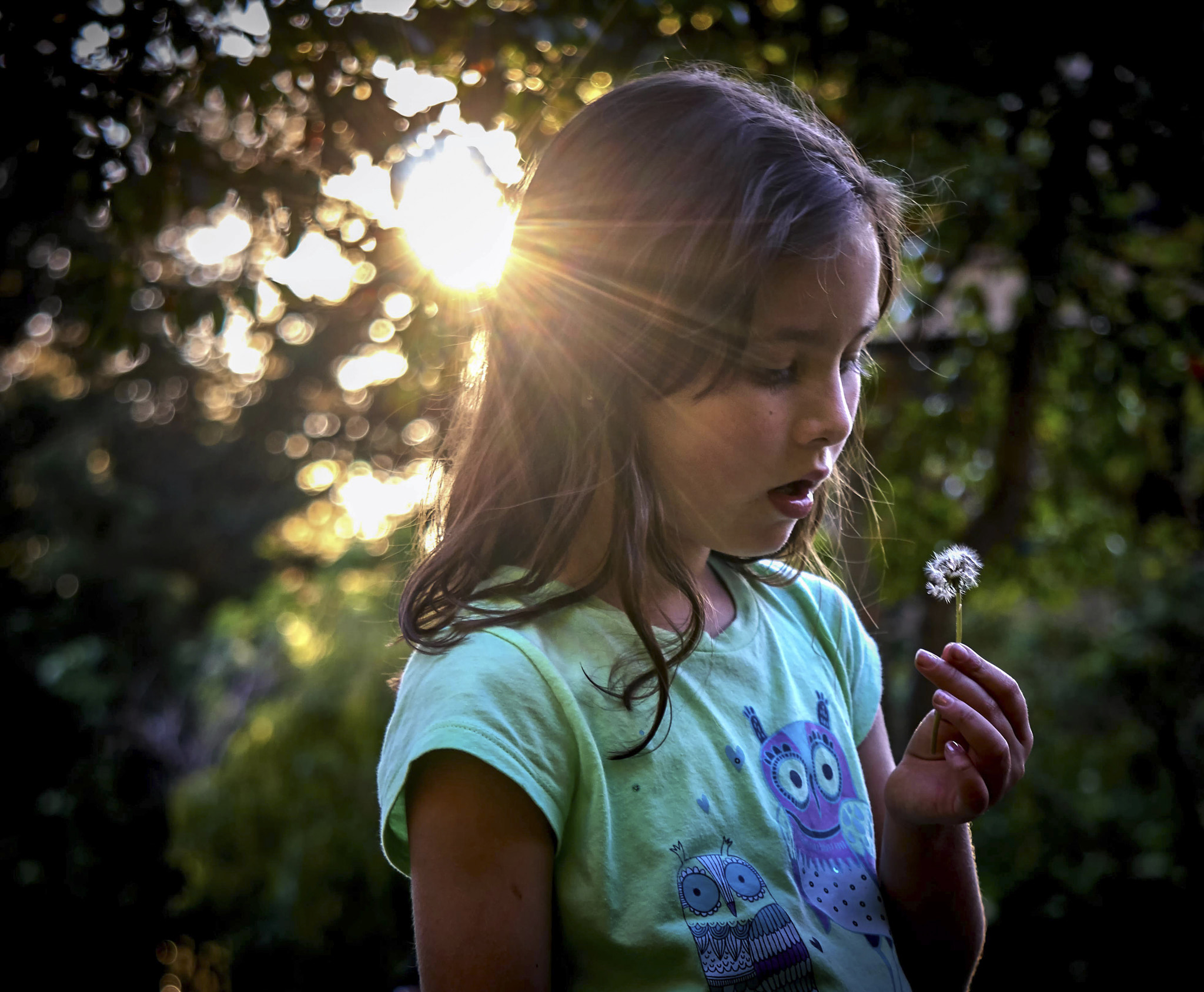 Sony E 55-210mm F4.5-6.3 OSS sample photo. Pure mind day dreaming photography